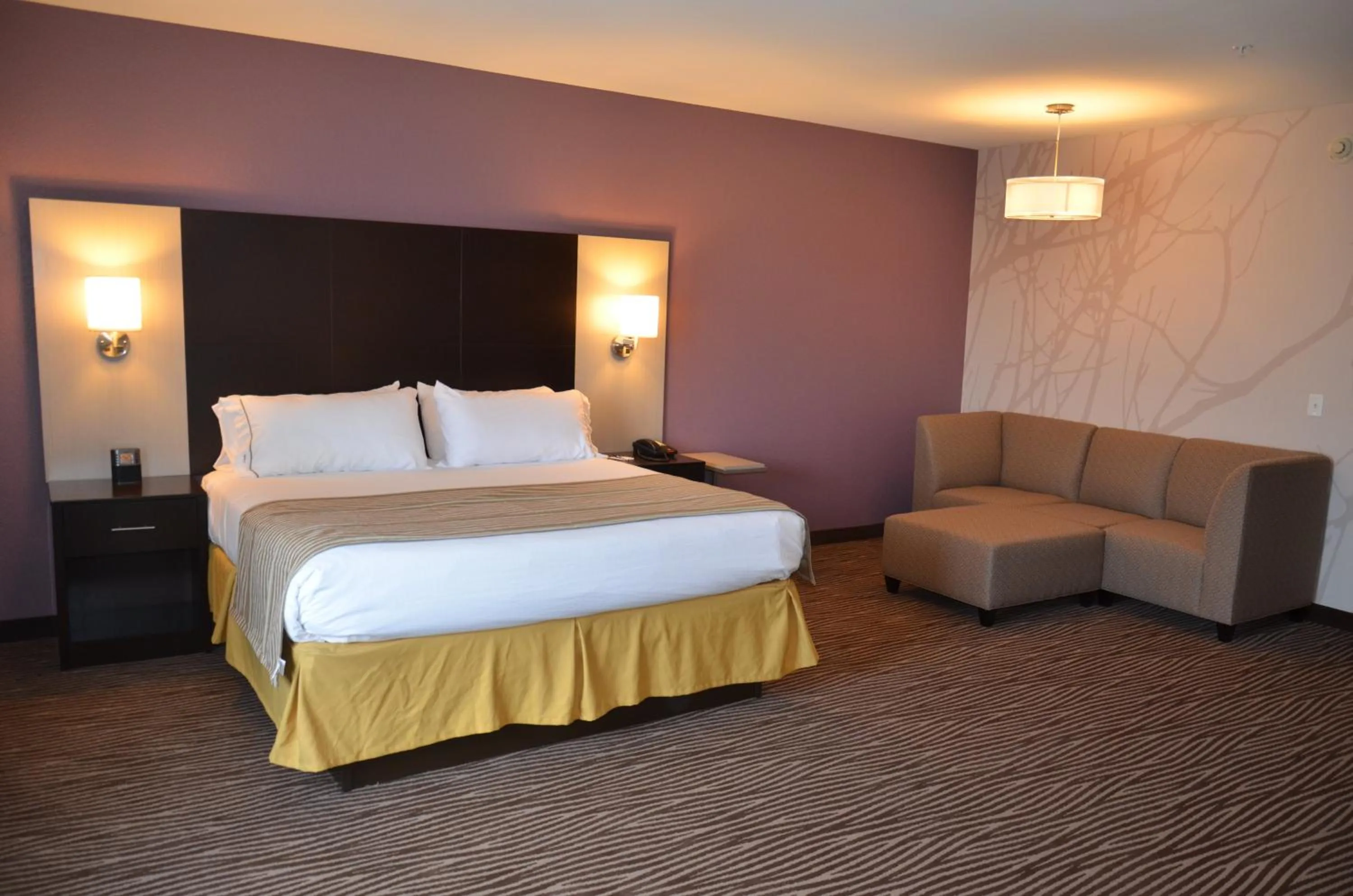Photo of the whole room, Bed in Holiday Inn Express Cheektowaga North East by IHG