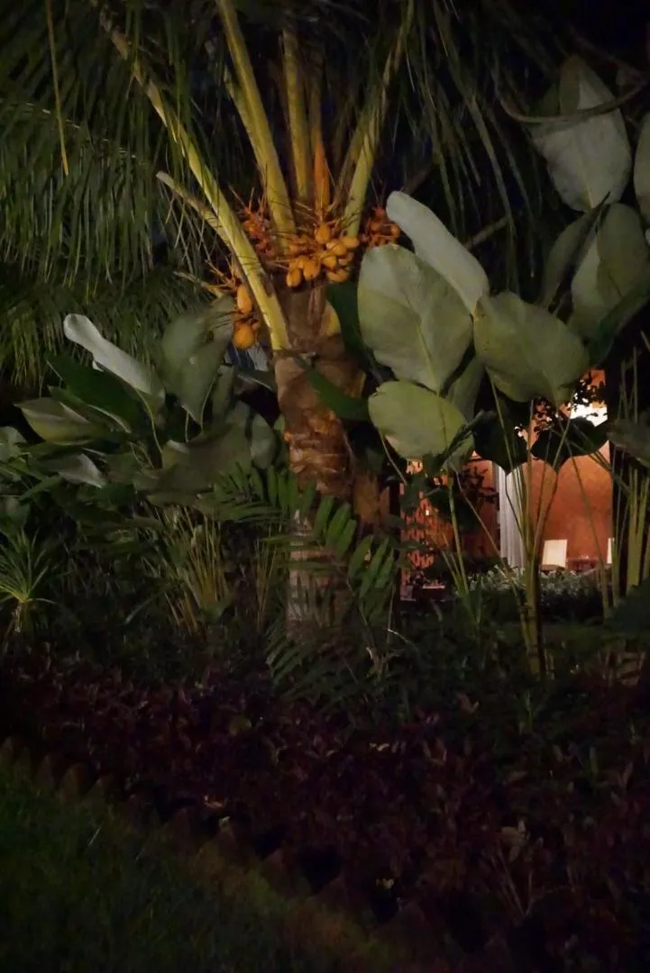 Garden in Louto Dmell Villa & Guesthouse