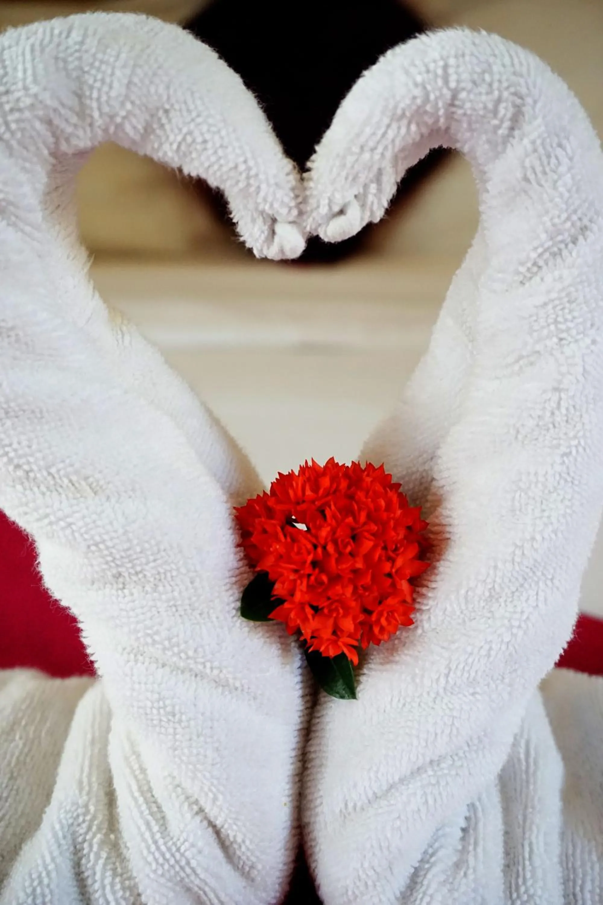 Decorative detail in Louto Dmell Villa & Guesthouse