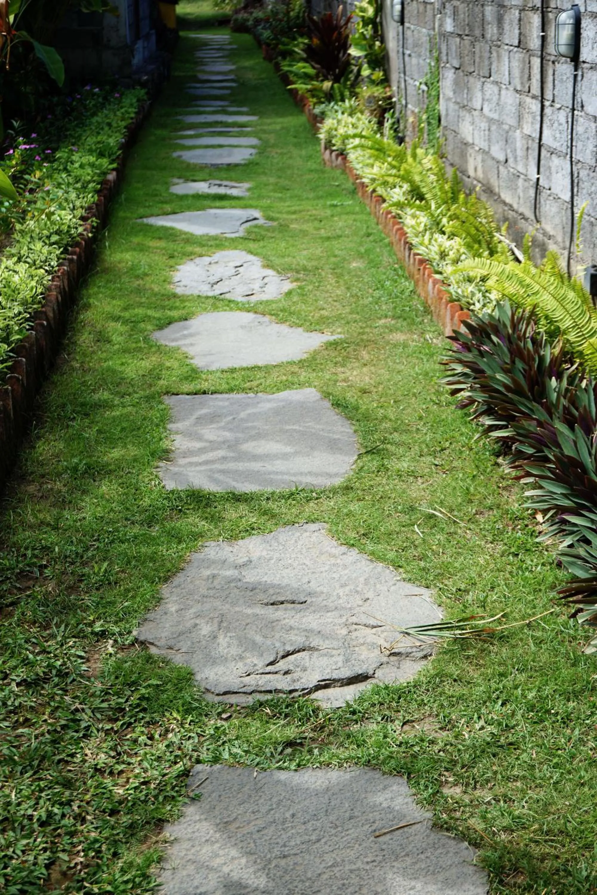 Garden in Louto Dmell Villa & Guesthouse