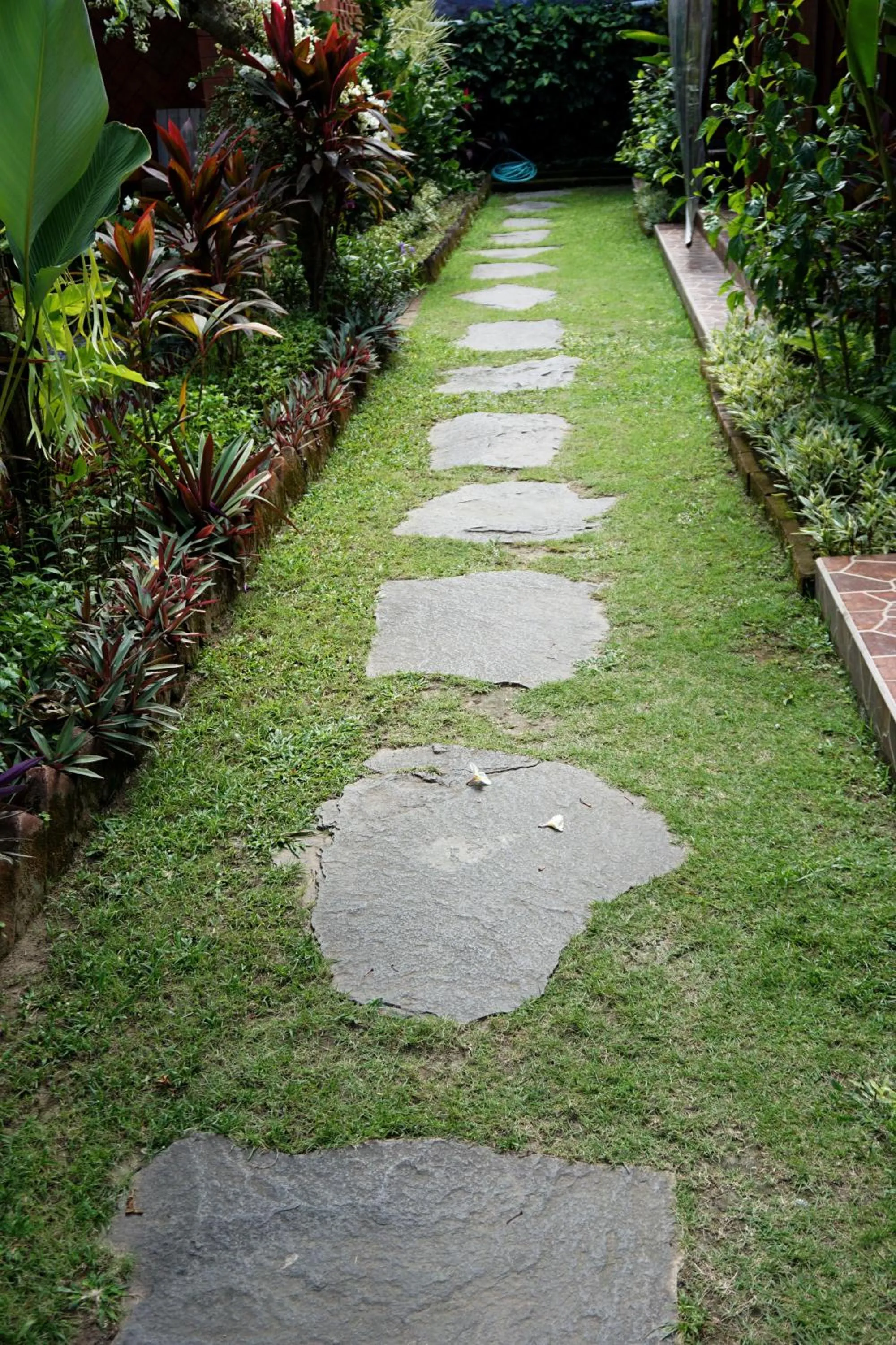 Garden view in Louto Dmell Villa & Guesthouse