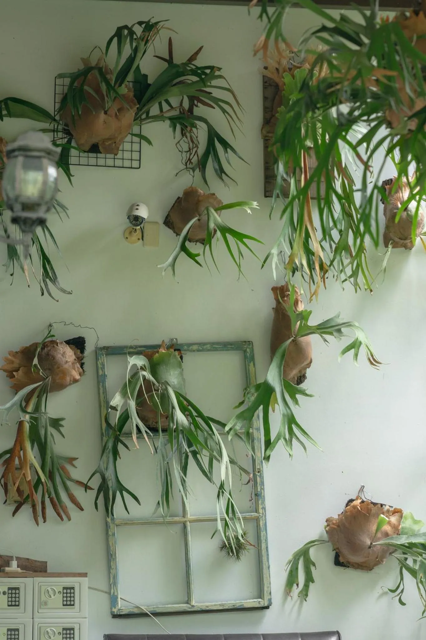 Property building in 愛黏在一起設計師民宿 Lovers BNB