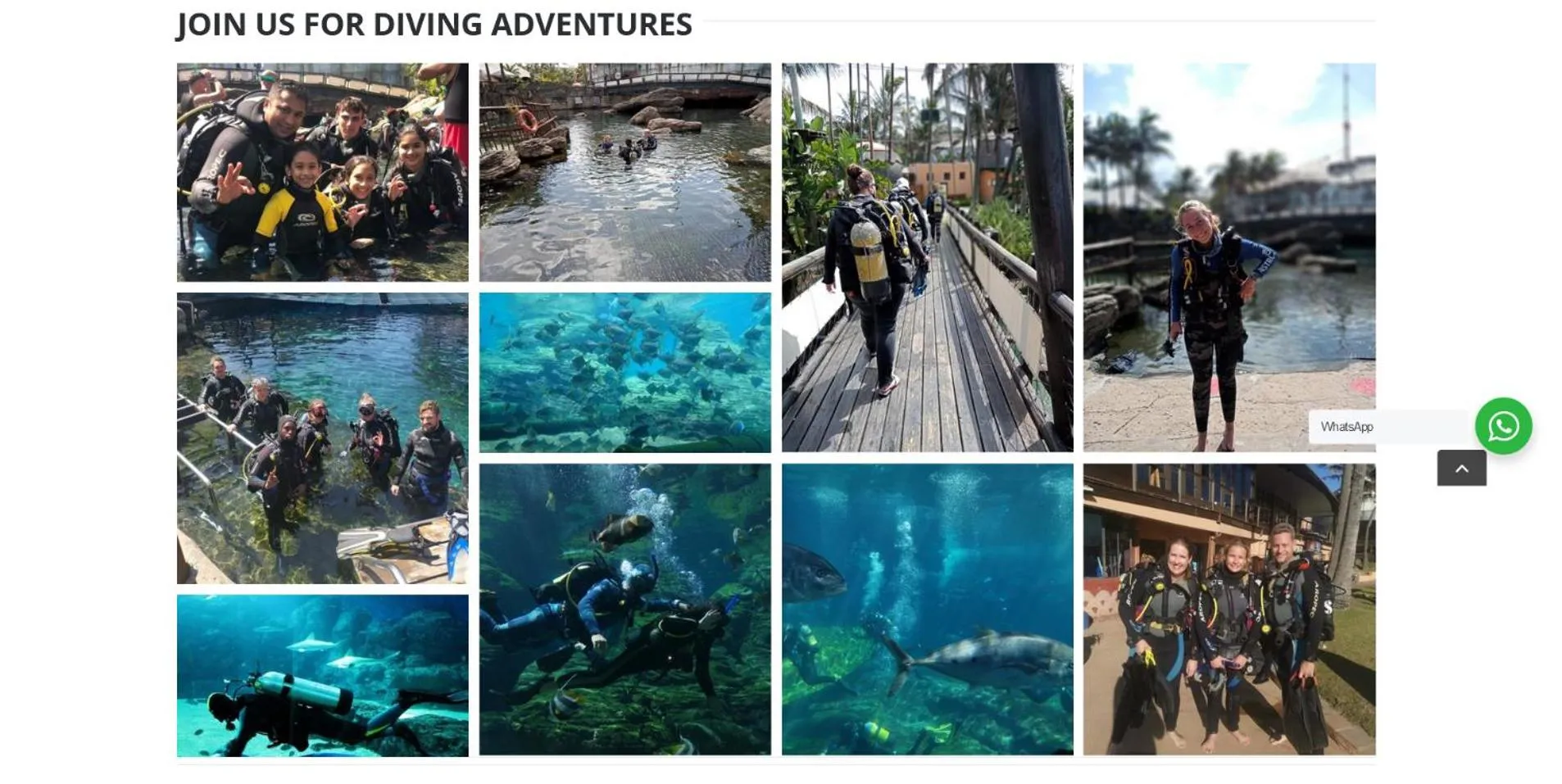 Diving in No 20 On the Beach Guesthouse