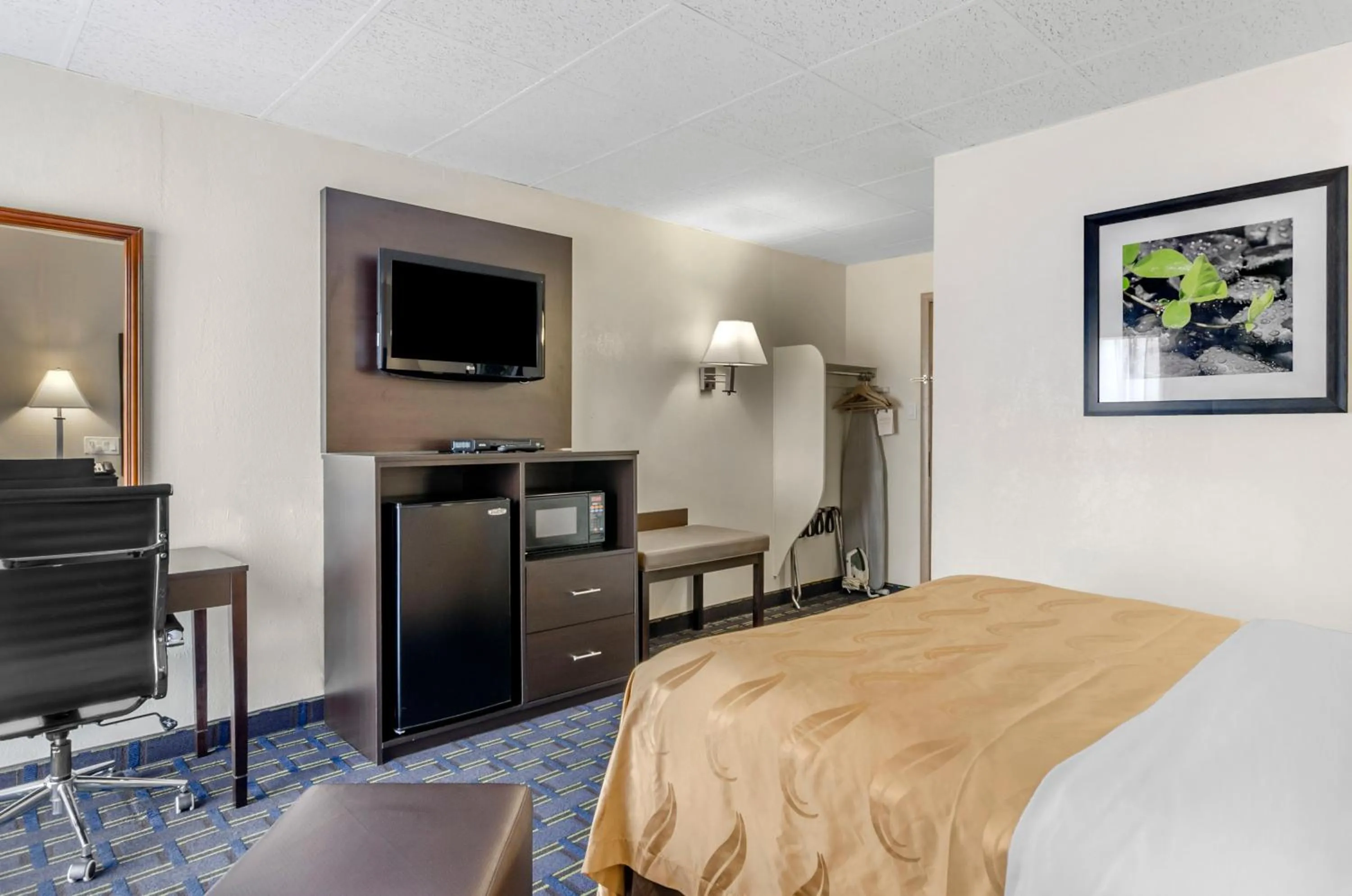 TV and multimedia, Bed in Econo Lodge Waynesboro - Skyline Drive