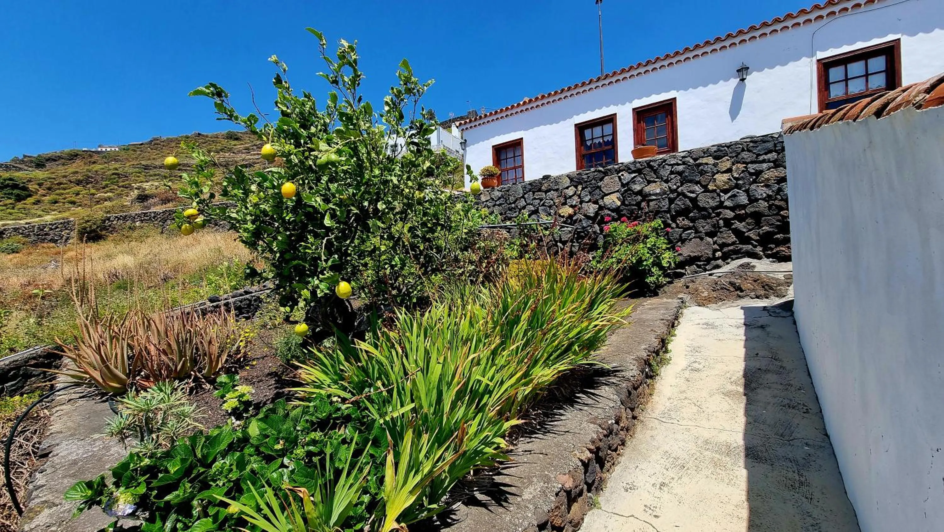 Garden in Rincón de Mercedes