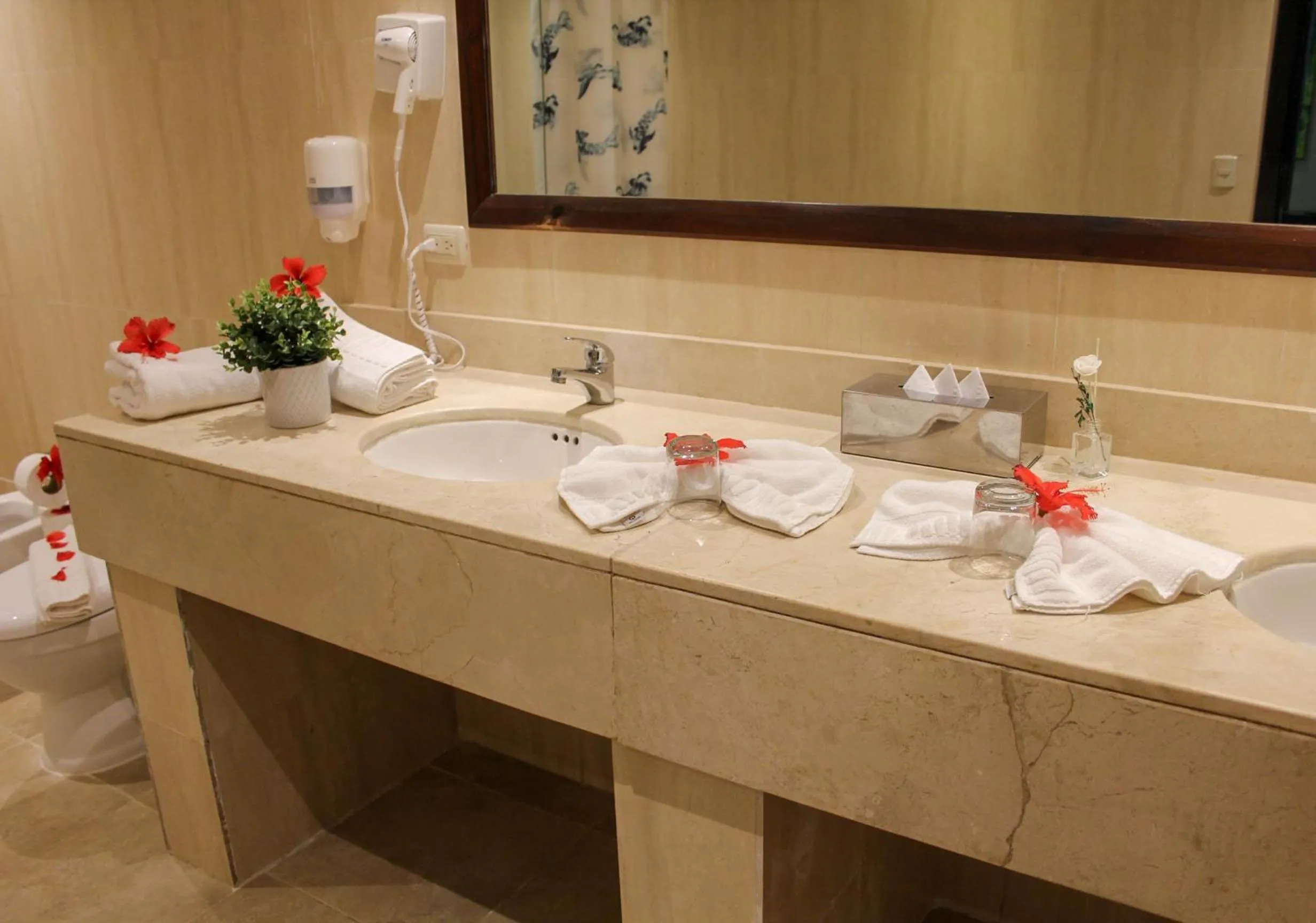 Bathroom in Hotel Plaza Brisas