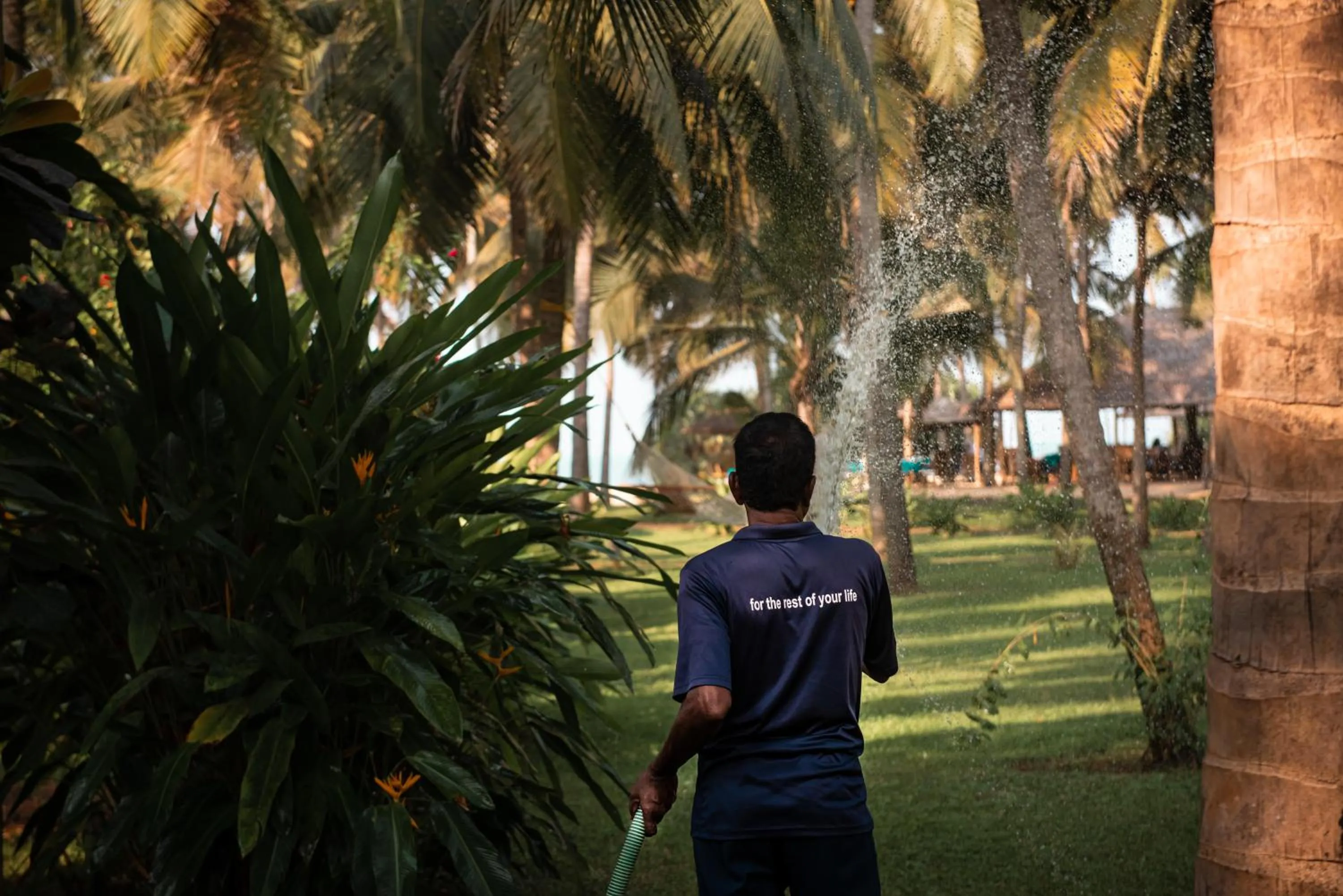 Garden in Neeleshwar Hermitage