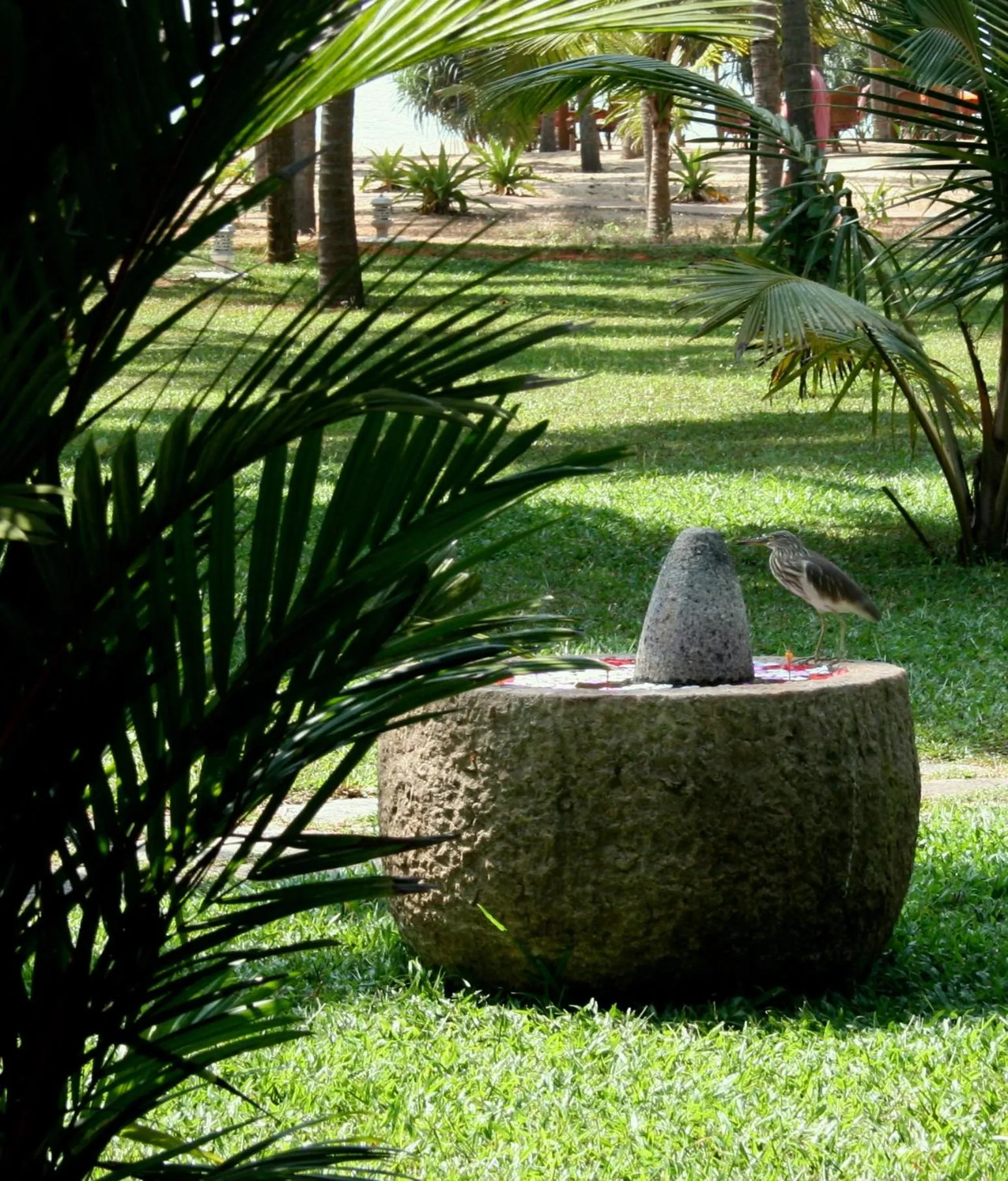 Garden in Neeleshwar Hermitage