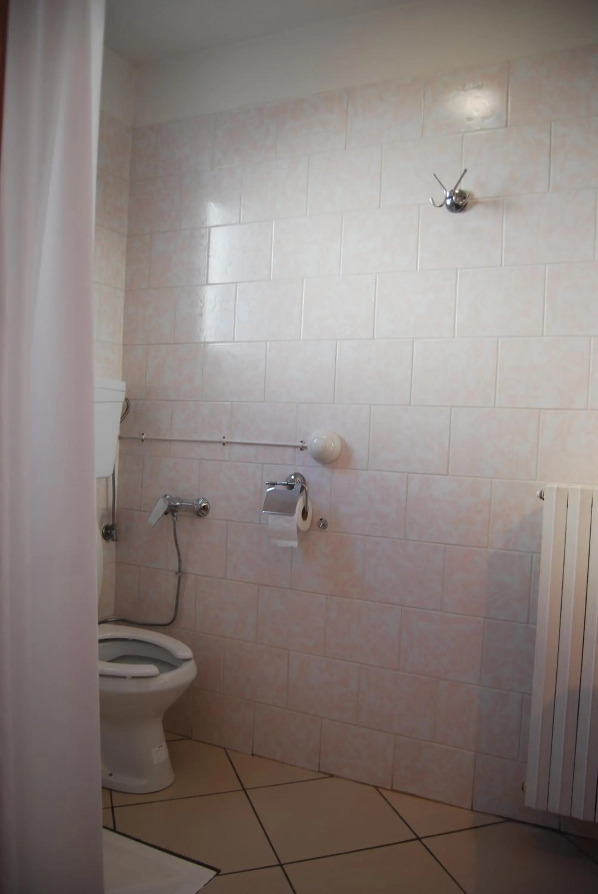 Toilet in Hotel Dalmazia