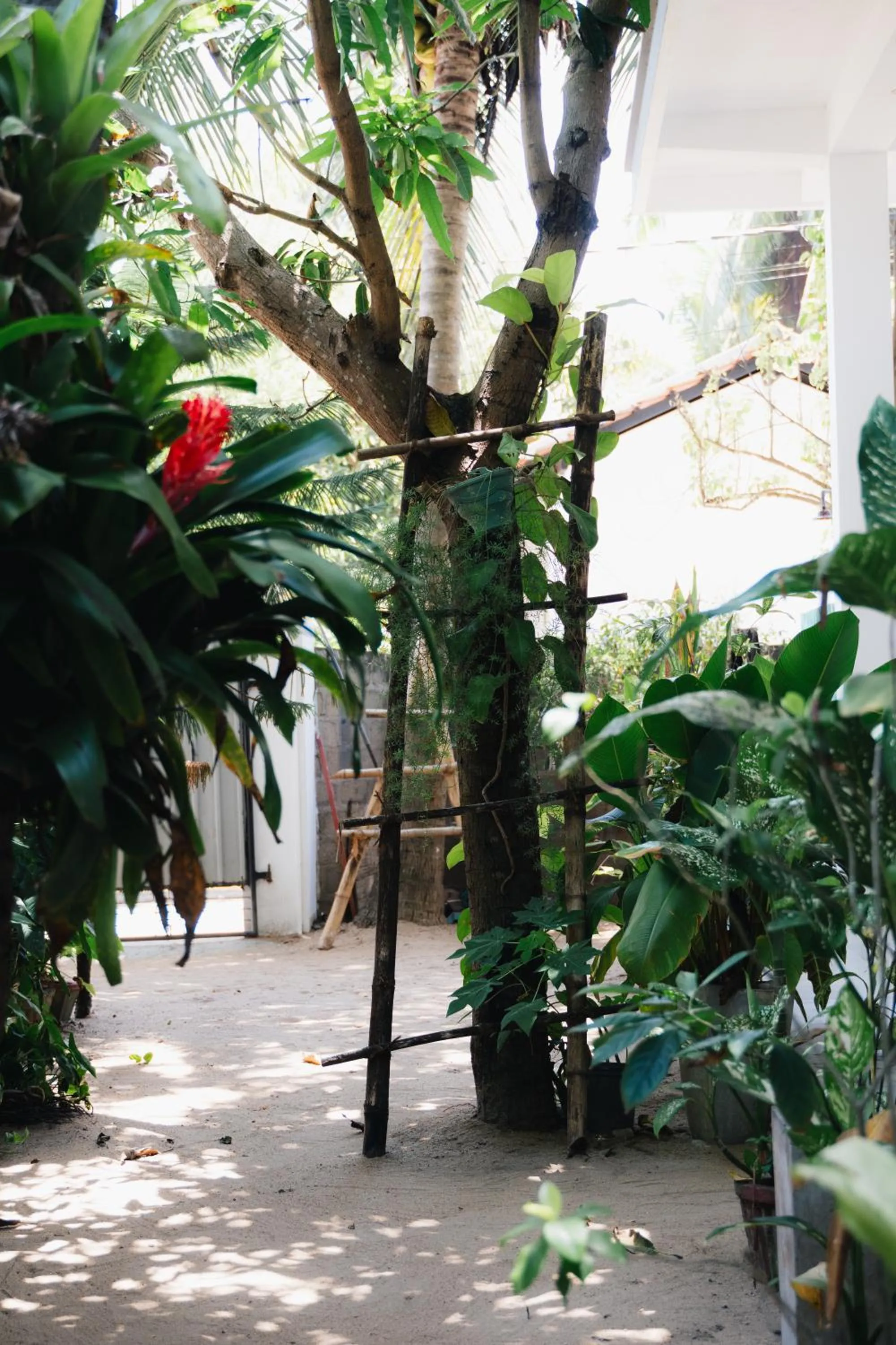 Tropicana Home Stay