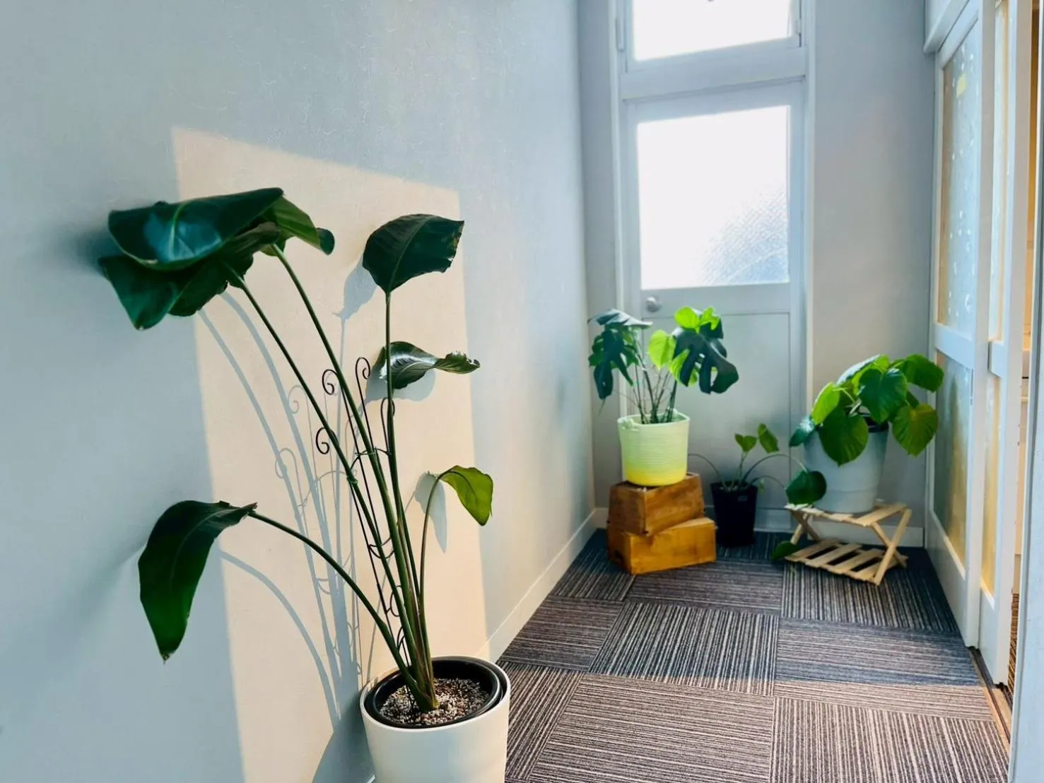 Area and facilities in Yuzawa house