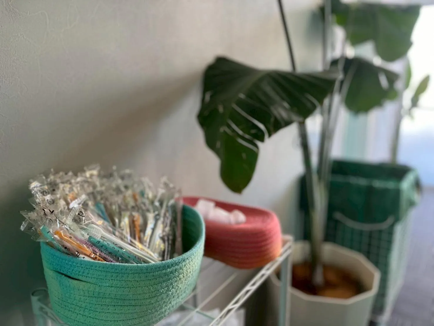 Area and facilities in Yuzawa house