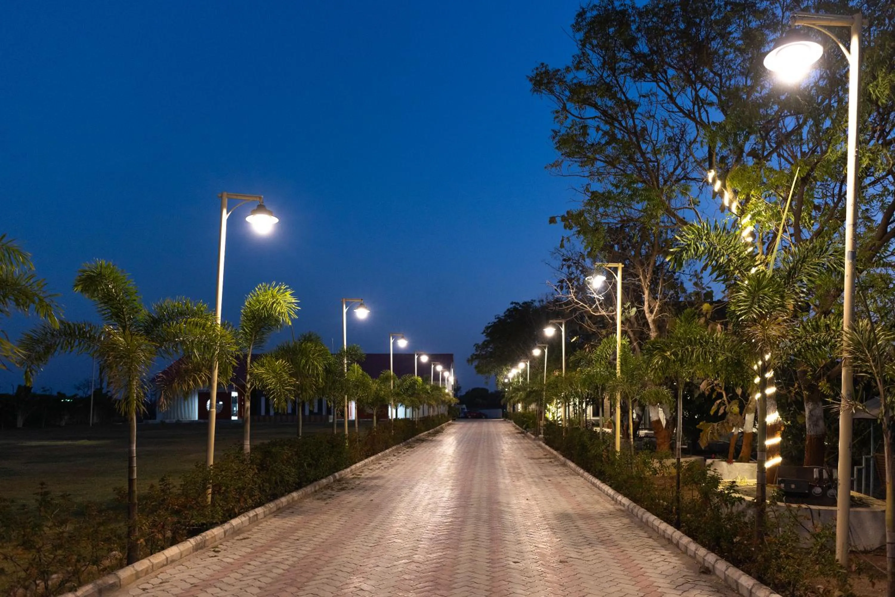 Street view in Daksh Eden Greenz -A Luxury Resort in Sasan Gir