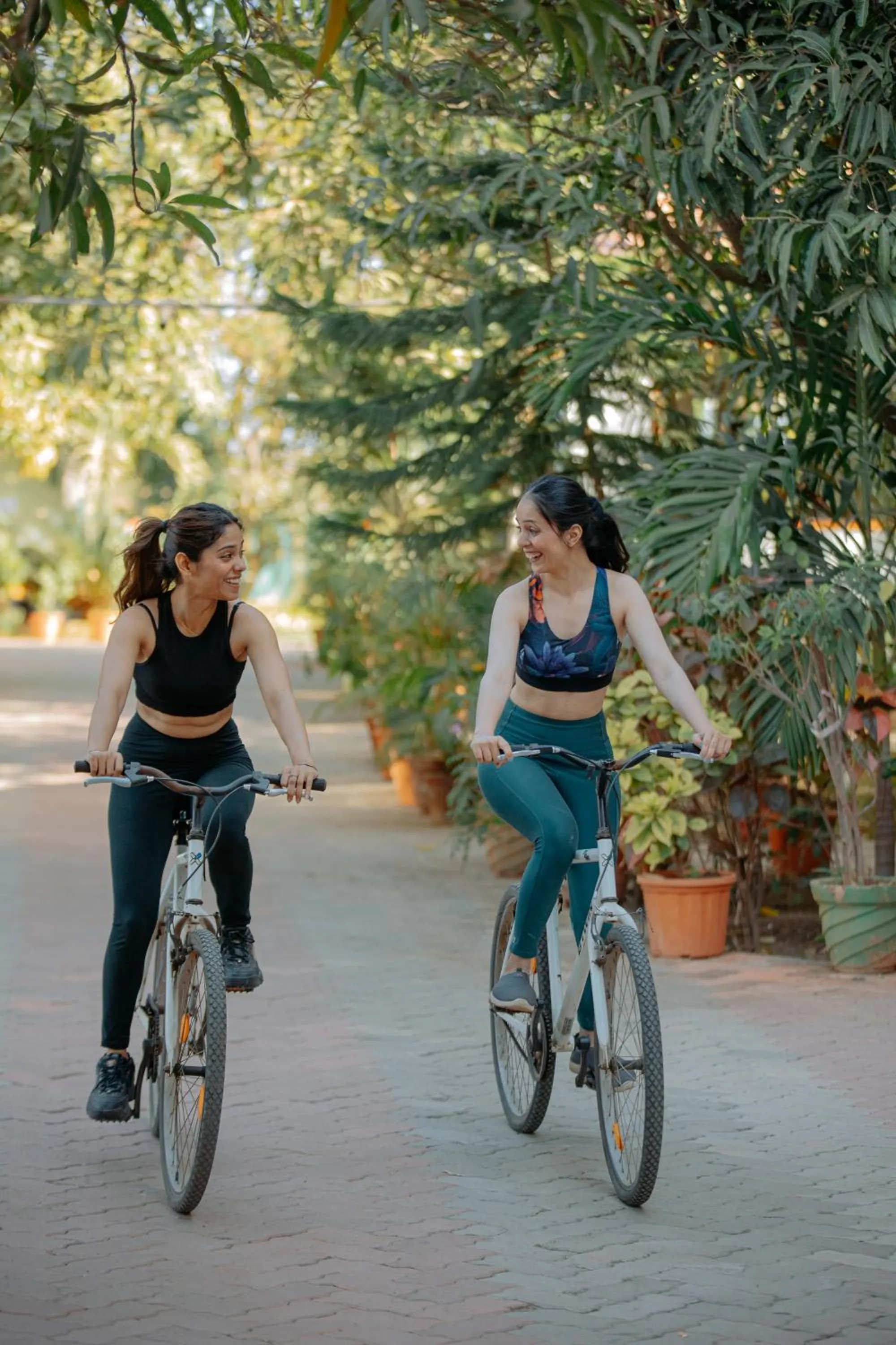 Activities in Daksh Eden Greenz -A Luxury Resort in Sasan Gir