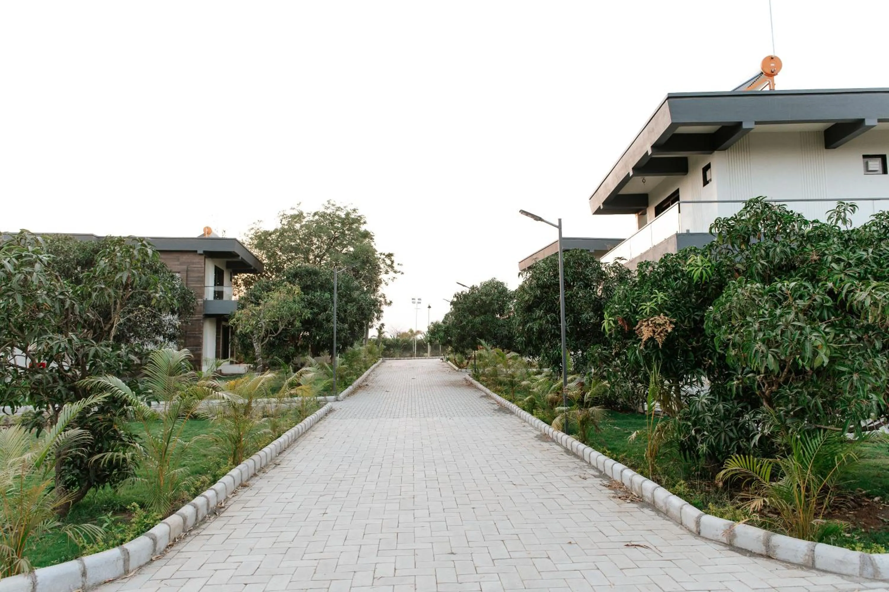 Street view in Daksh Eden Greenz -A Luxury Resort in Sasan Gir