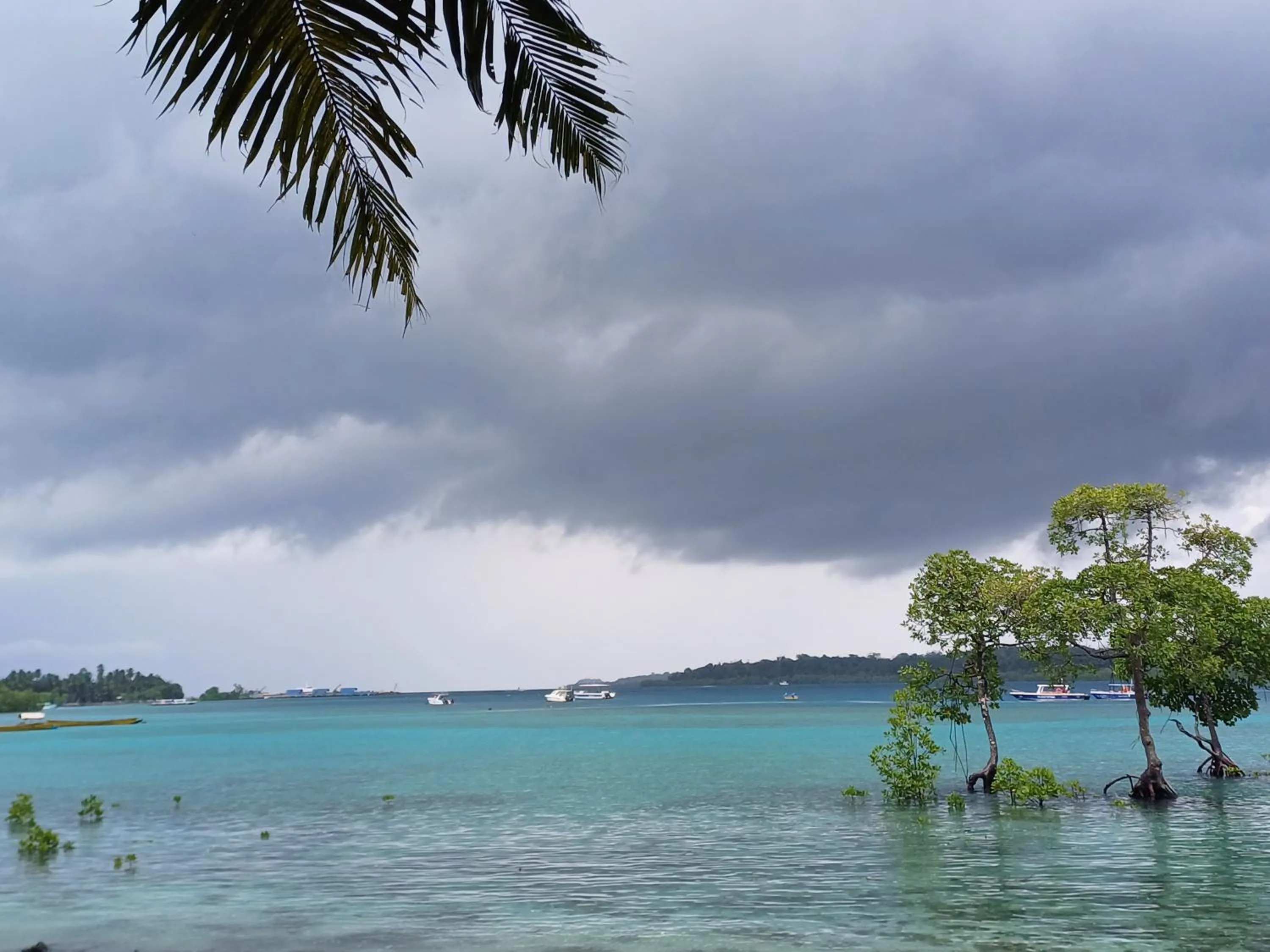 Beach in Ocean Pearl Beach Resort