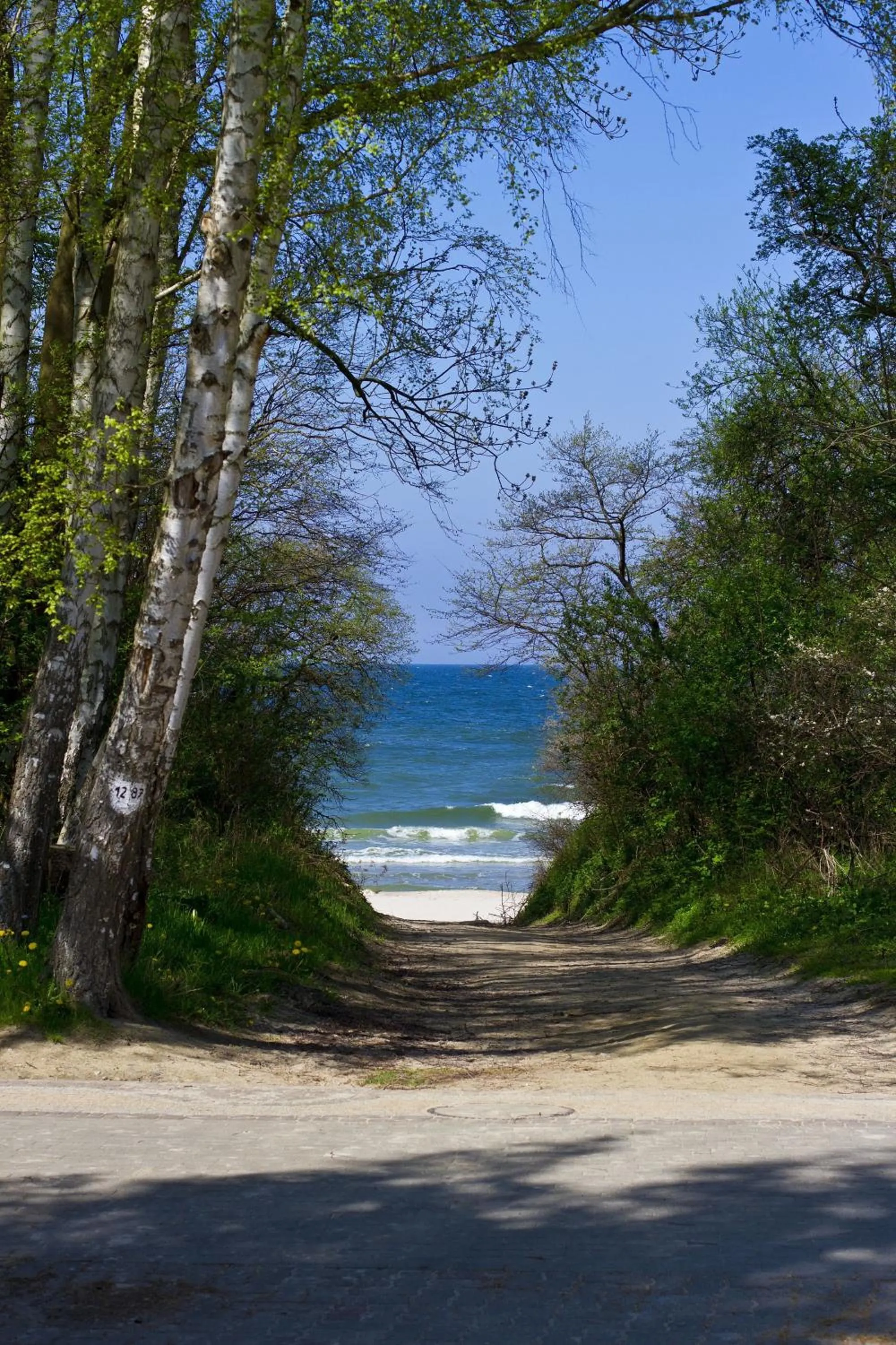 Beach in Imperiall Resort & MediSpa