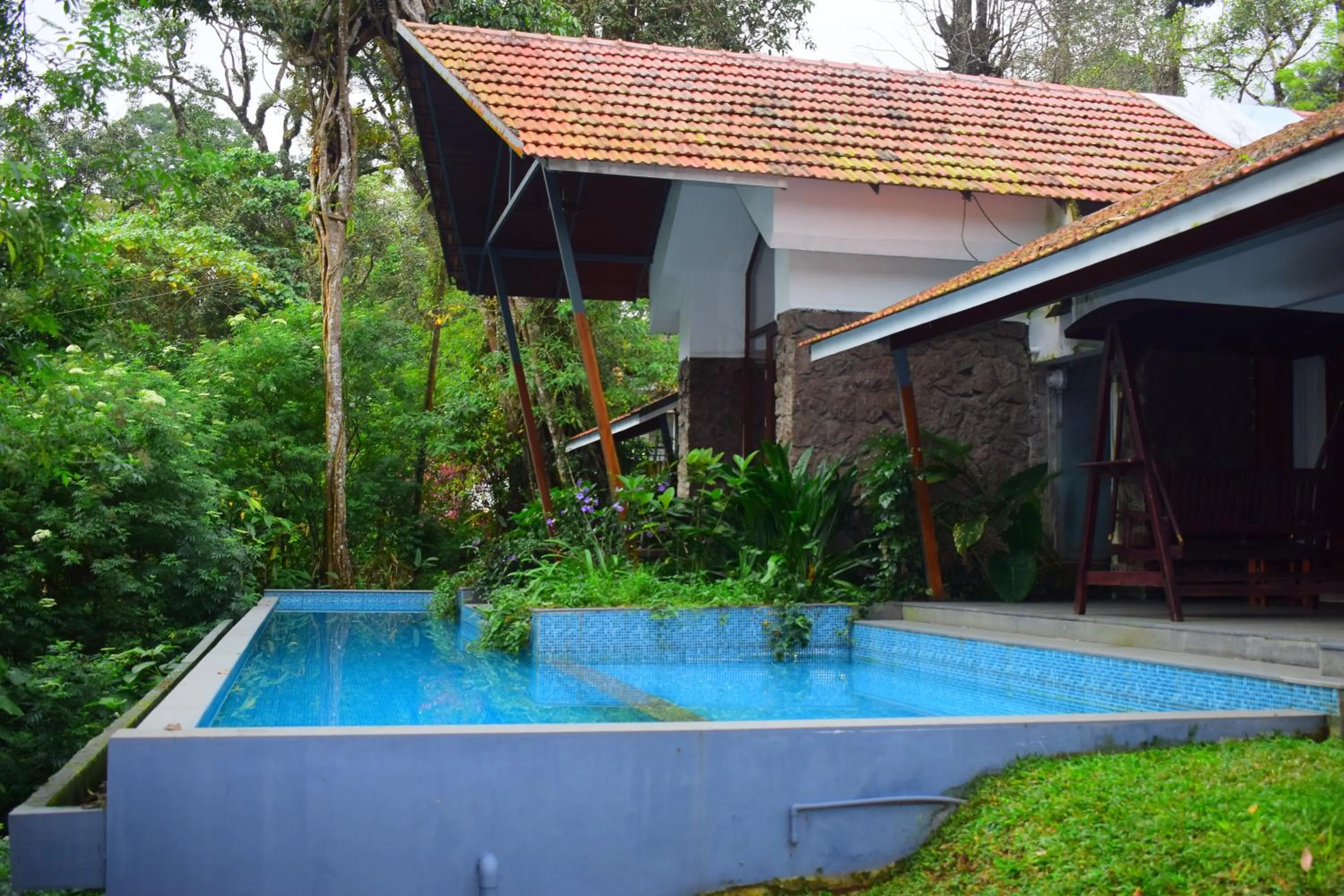 Pool view in Elixir Woods Luxury Resort And Spa, Munnar