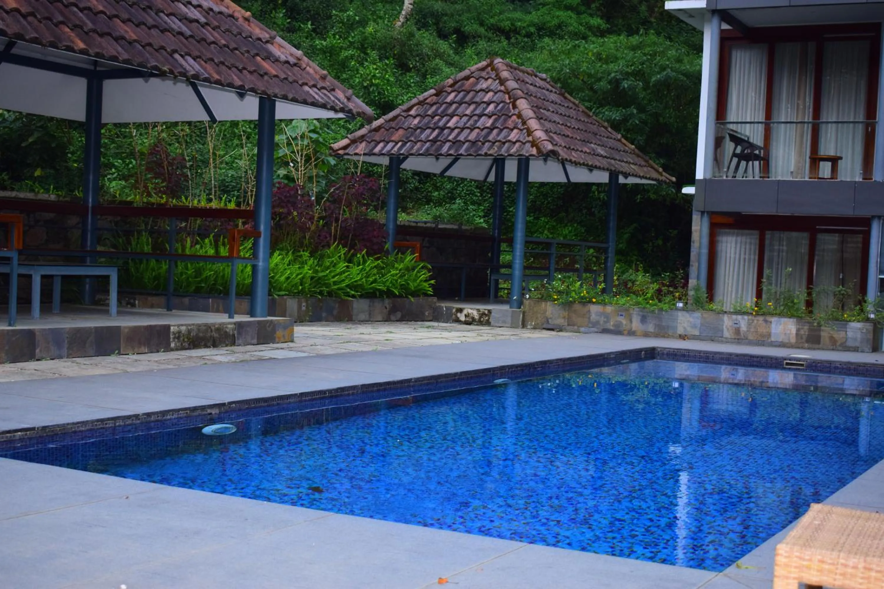 Swimming pool in Elixir Woods Luxury Resort And Spa, Munnar