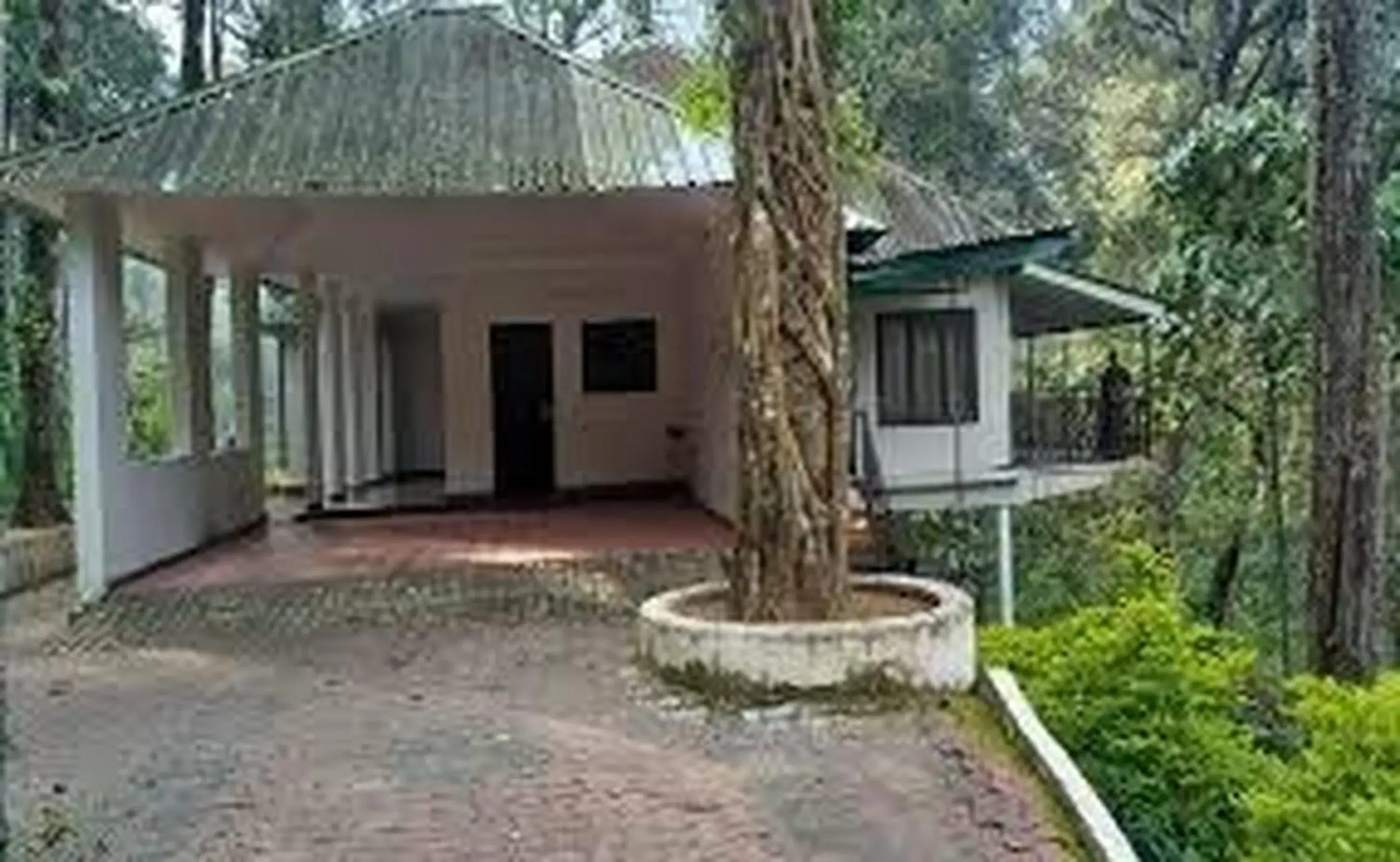 Cottage in Elixir Woods Luxury Resort And Spa, Munnar Cottage in Elixir Woods Luxury Resort And Spa, Munnar