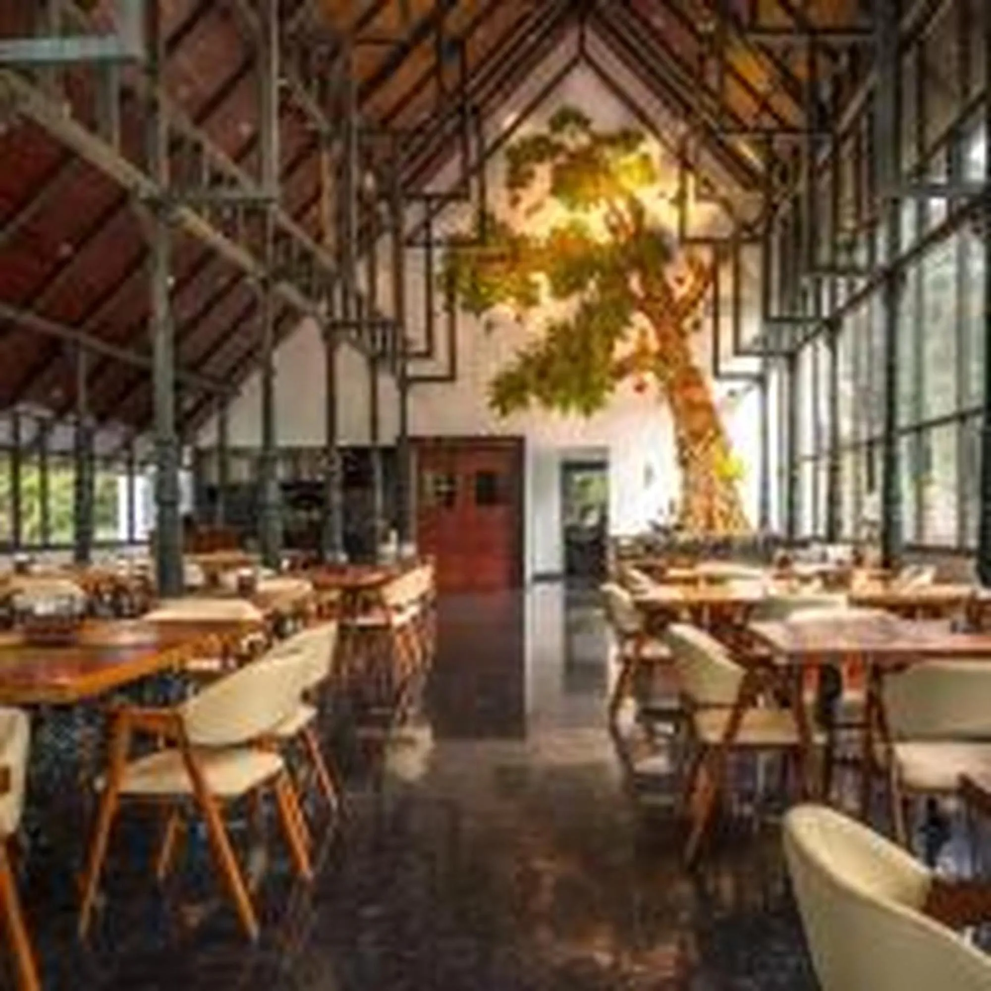 Restaurant/places to eat in Elixir Woods Luxury Resort And Spa, Munnar