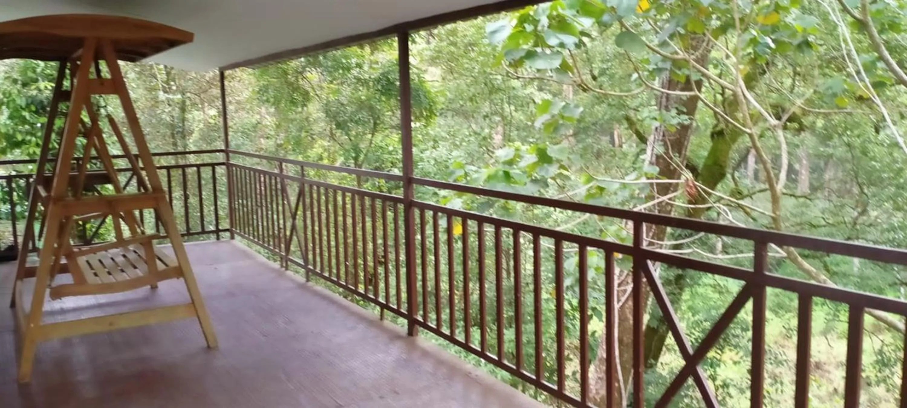 Balcony/Terrace in Elixir Woods Luxury Resort And Spa, Munnar