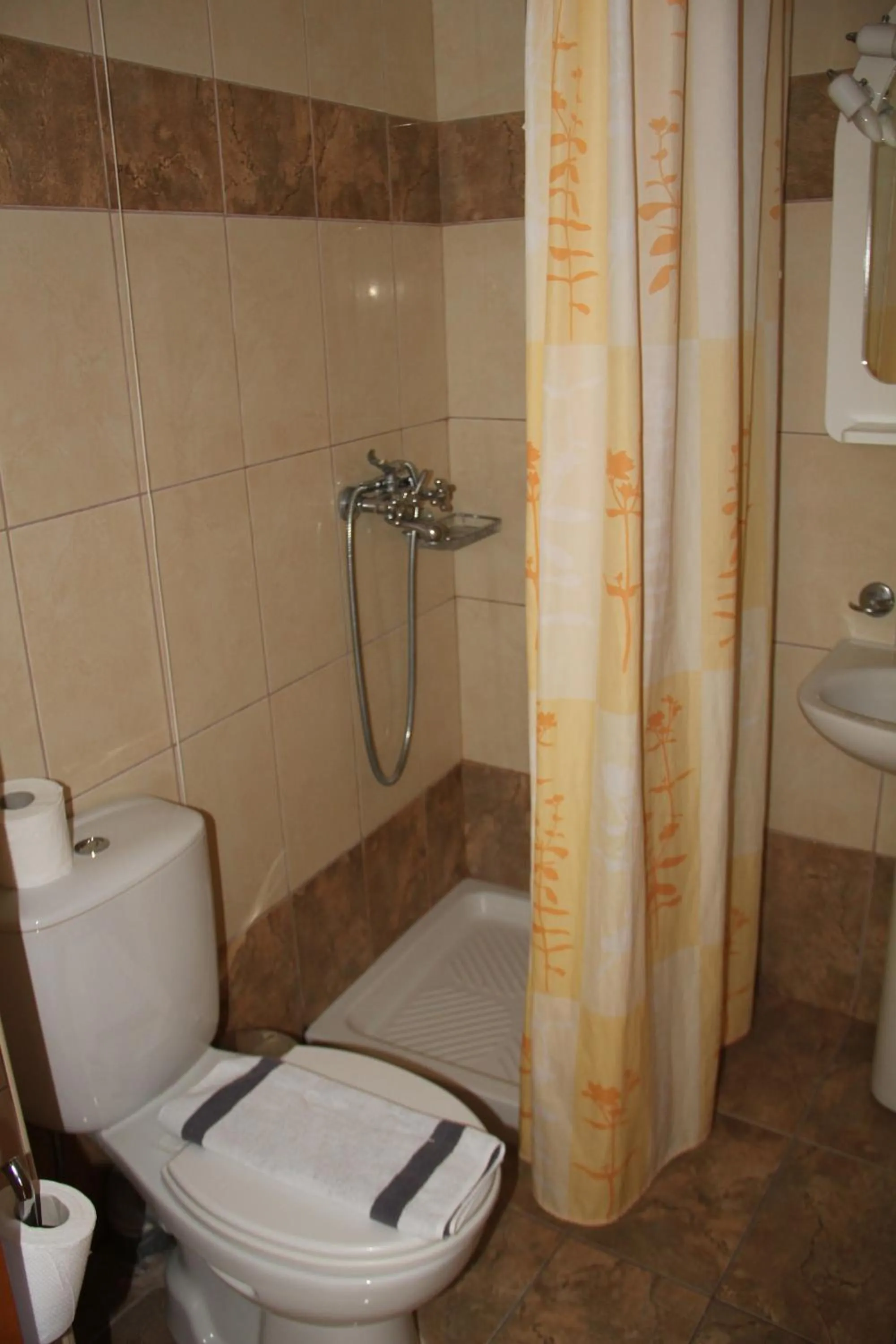 Toilet in Hotel Stavris