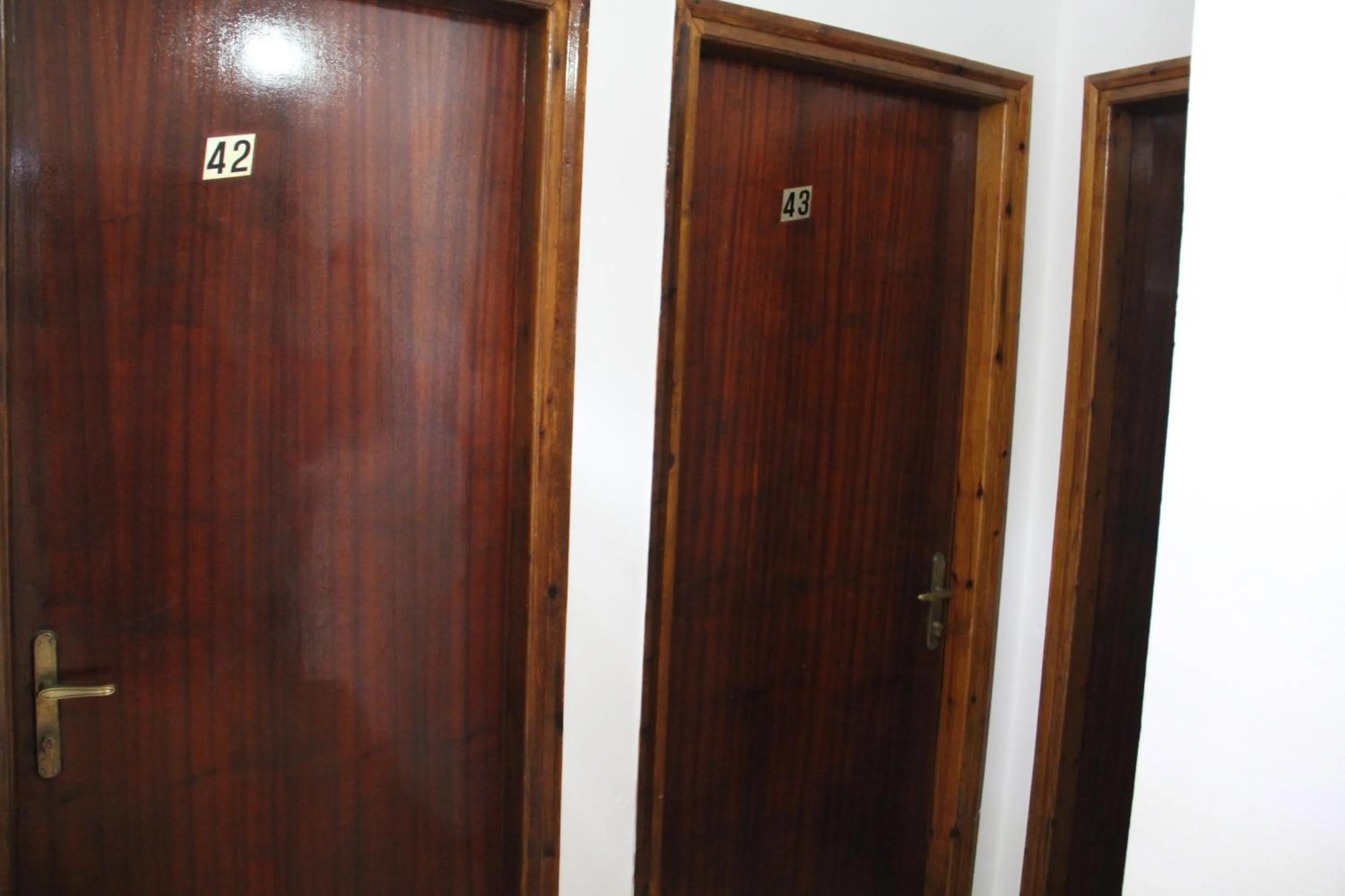 Area and facilities in Hotel Stavris