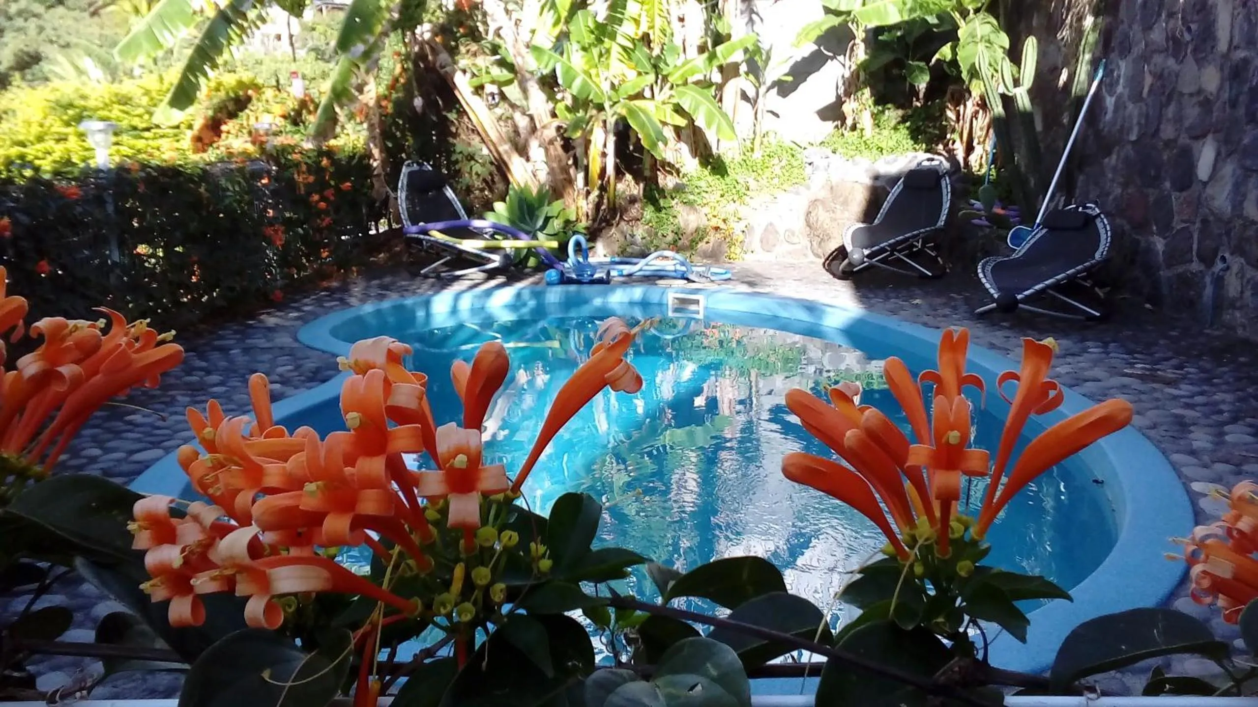 Spring in Villa Hélèna B&B