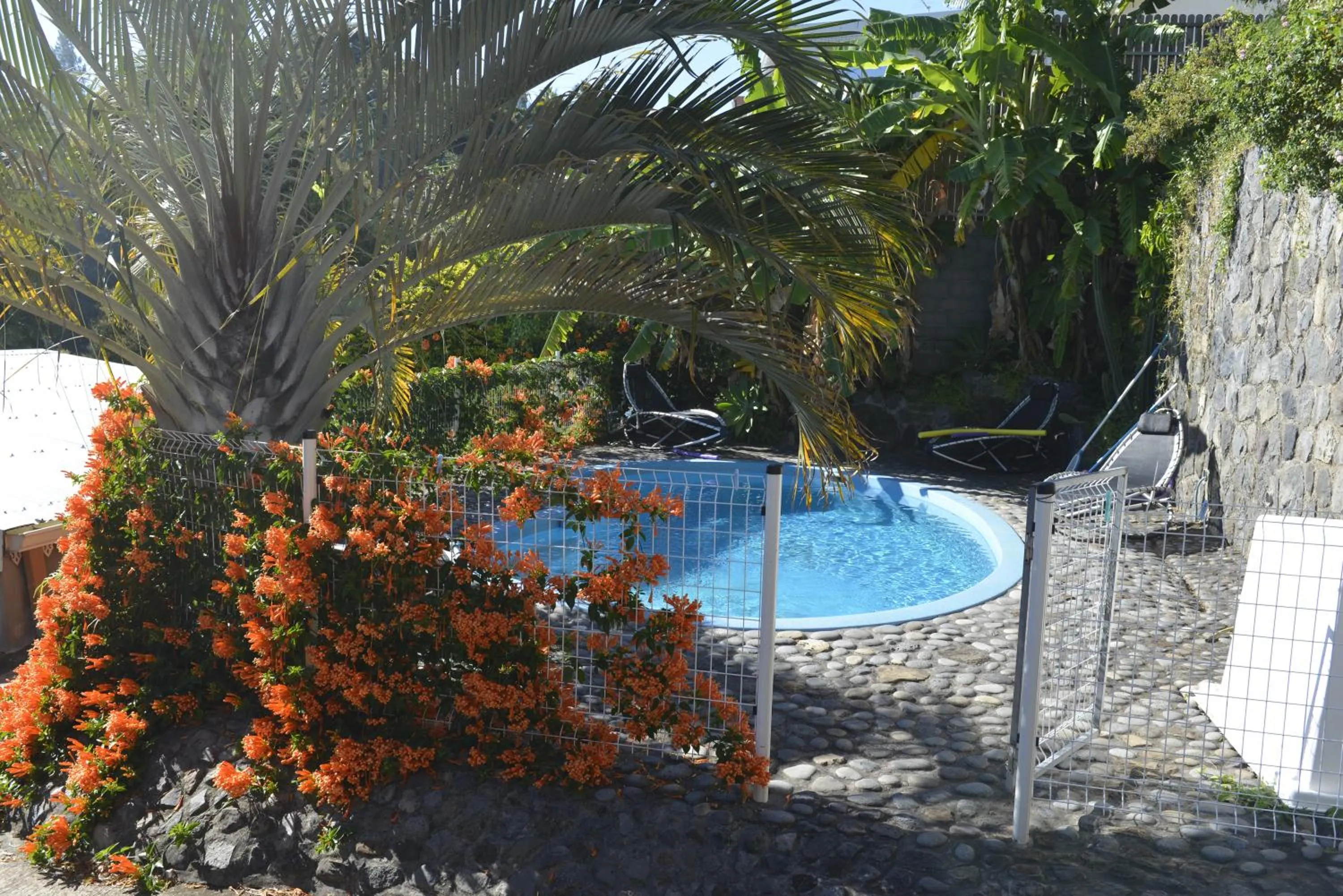 Swimming pool in Villa Hélèna B&B