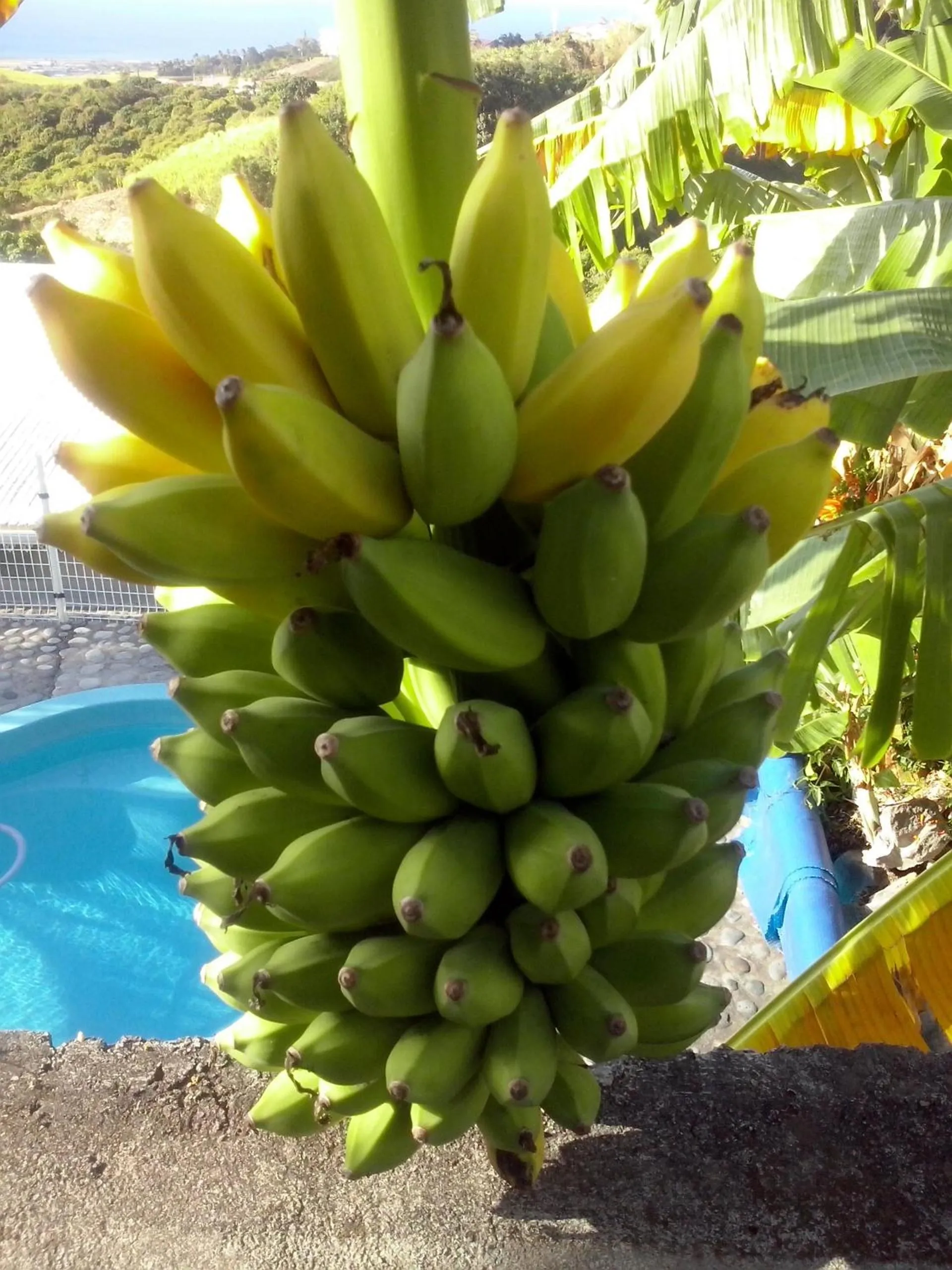 Other in Villa Hélèna B&B