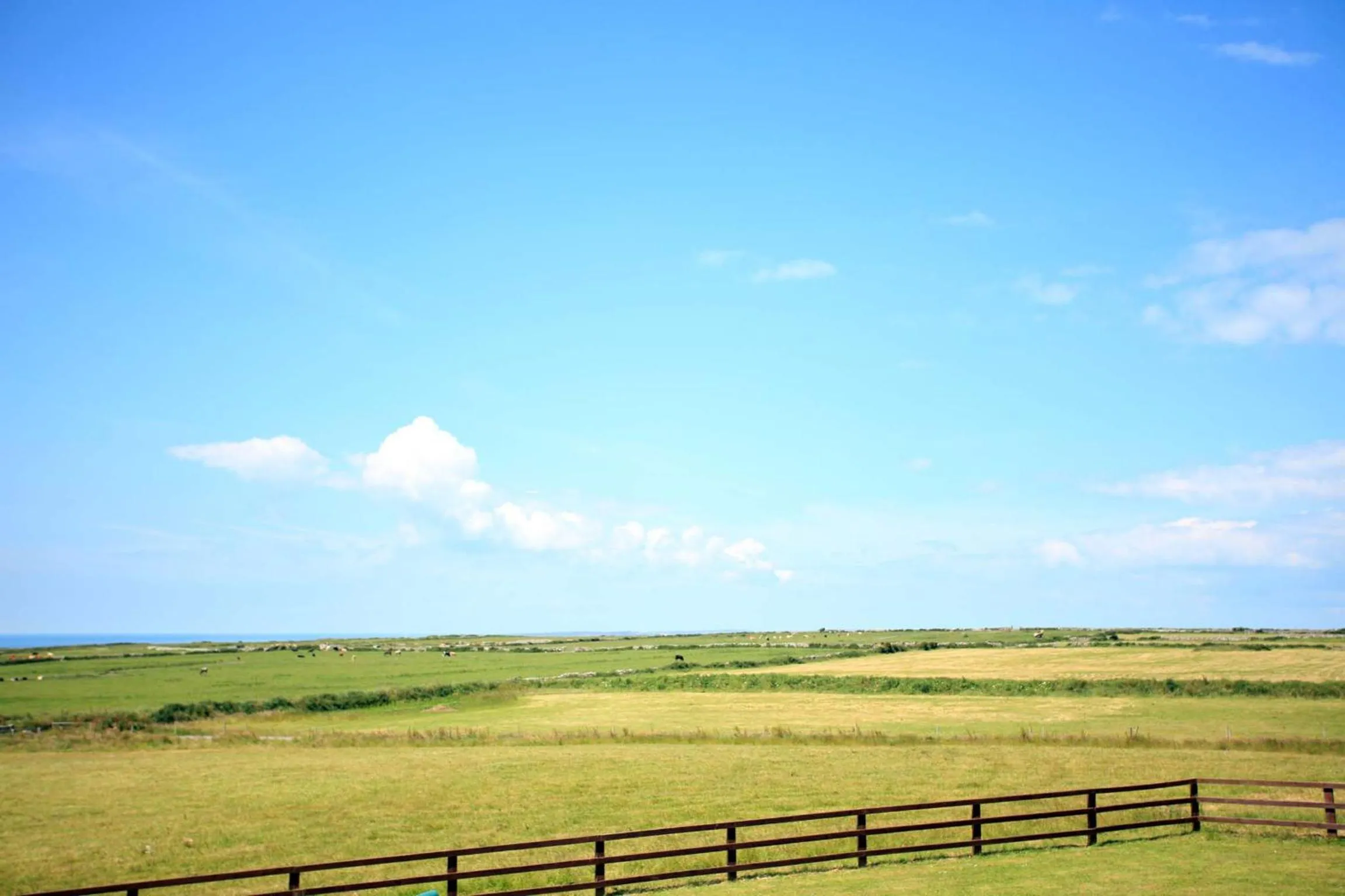 Other in Cahermaclanchy House