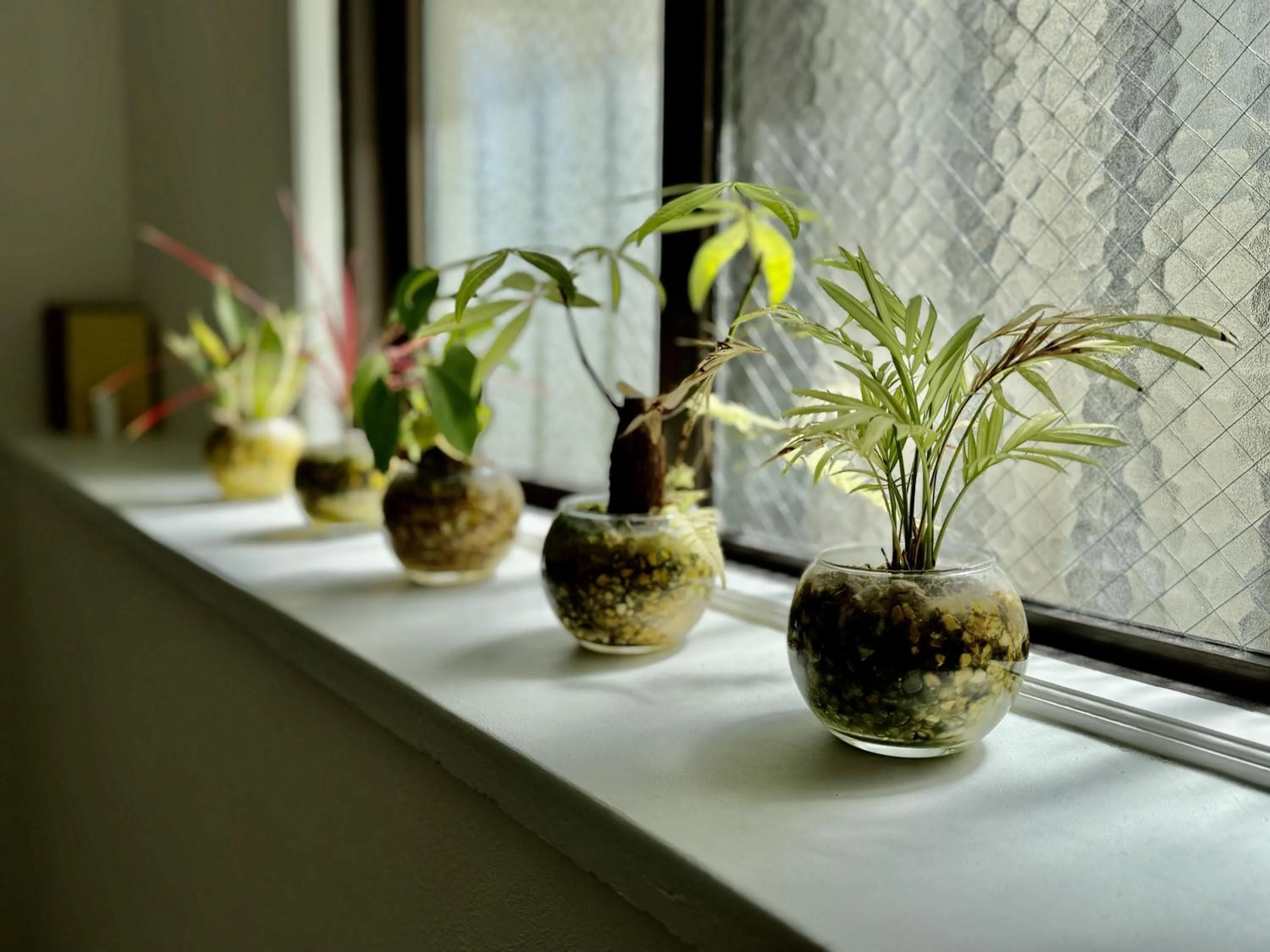 Property building in Hotel Ishigaki and Chikonkiya