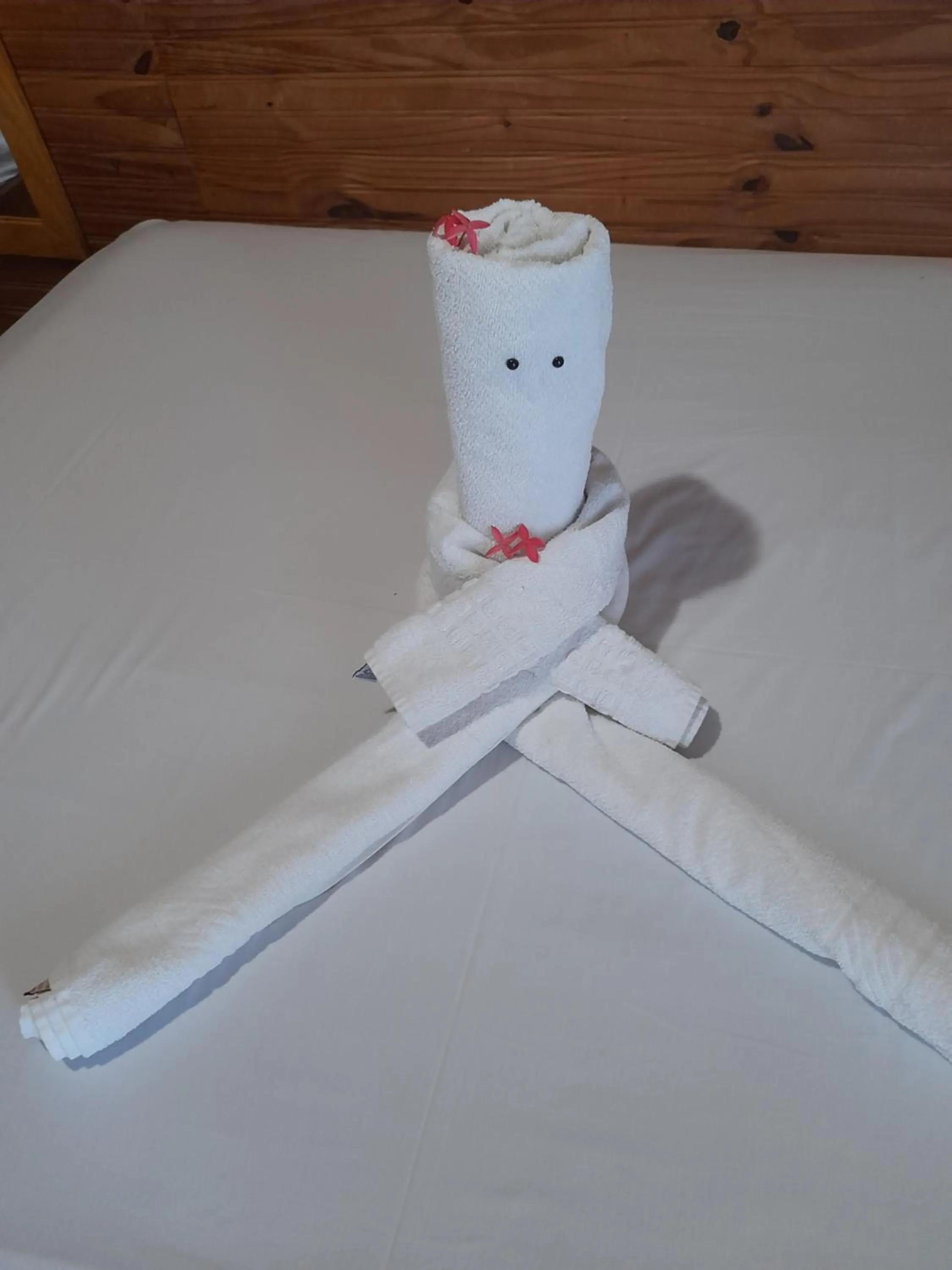 Pousada Casa de Madeira