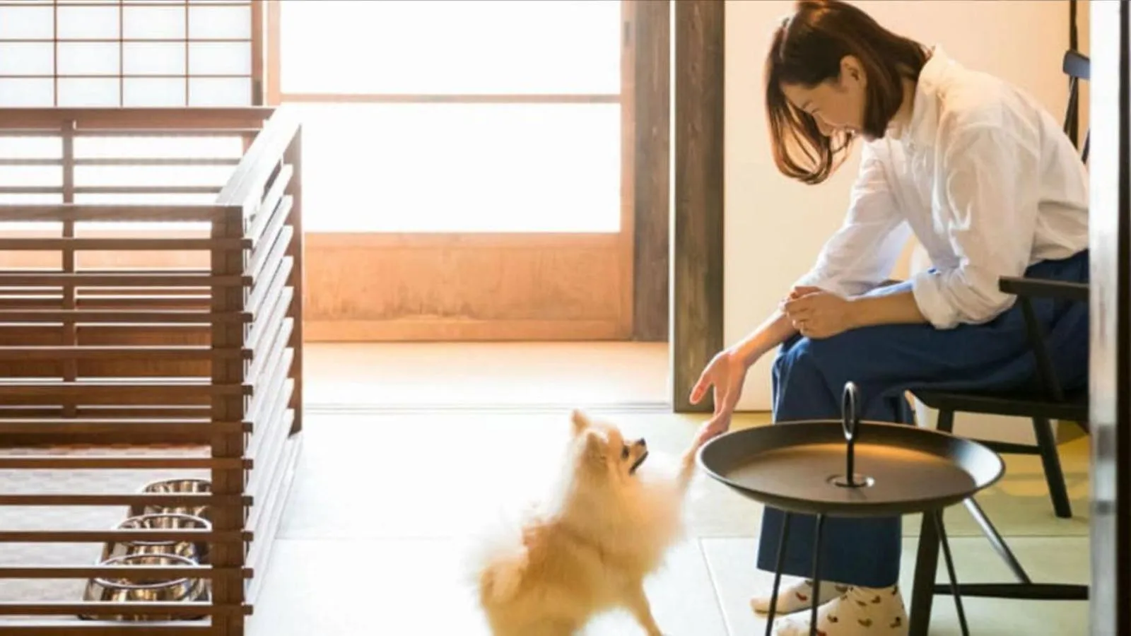 Animals in EN Takeda Castle Town Hotel