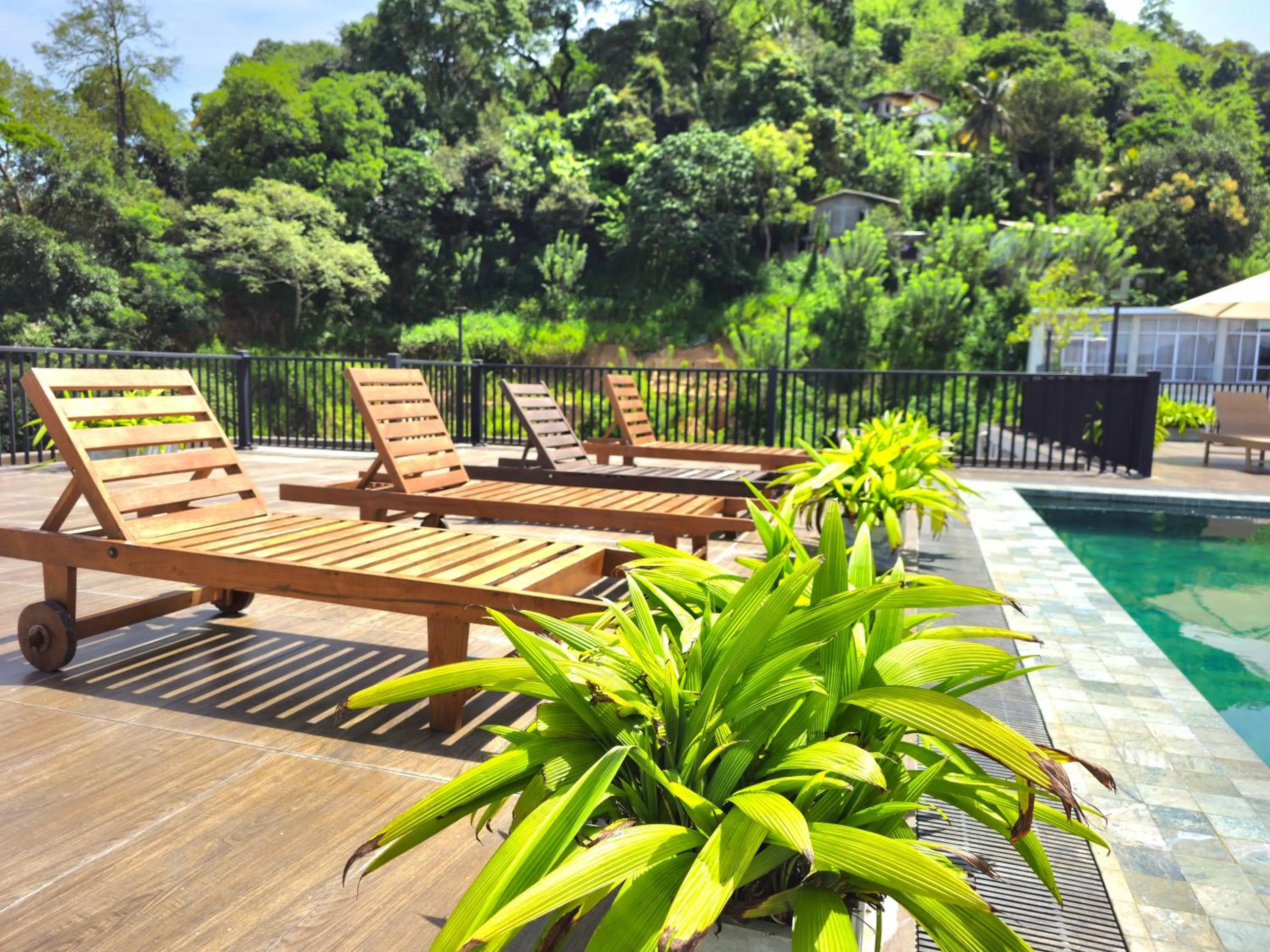 Swimming pool in Oak Ray Regency