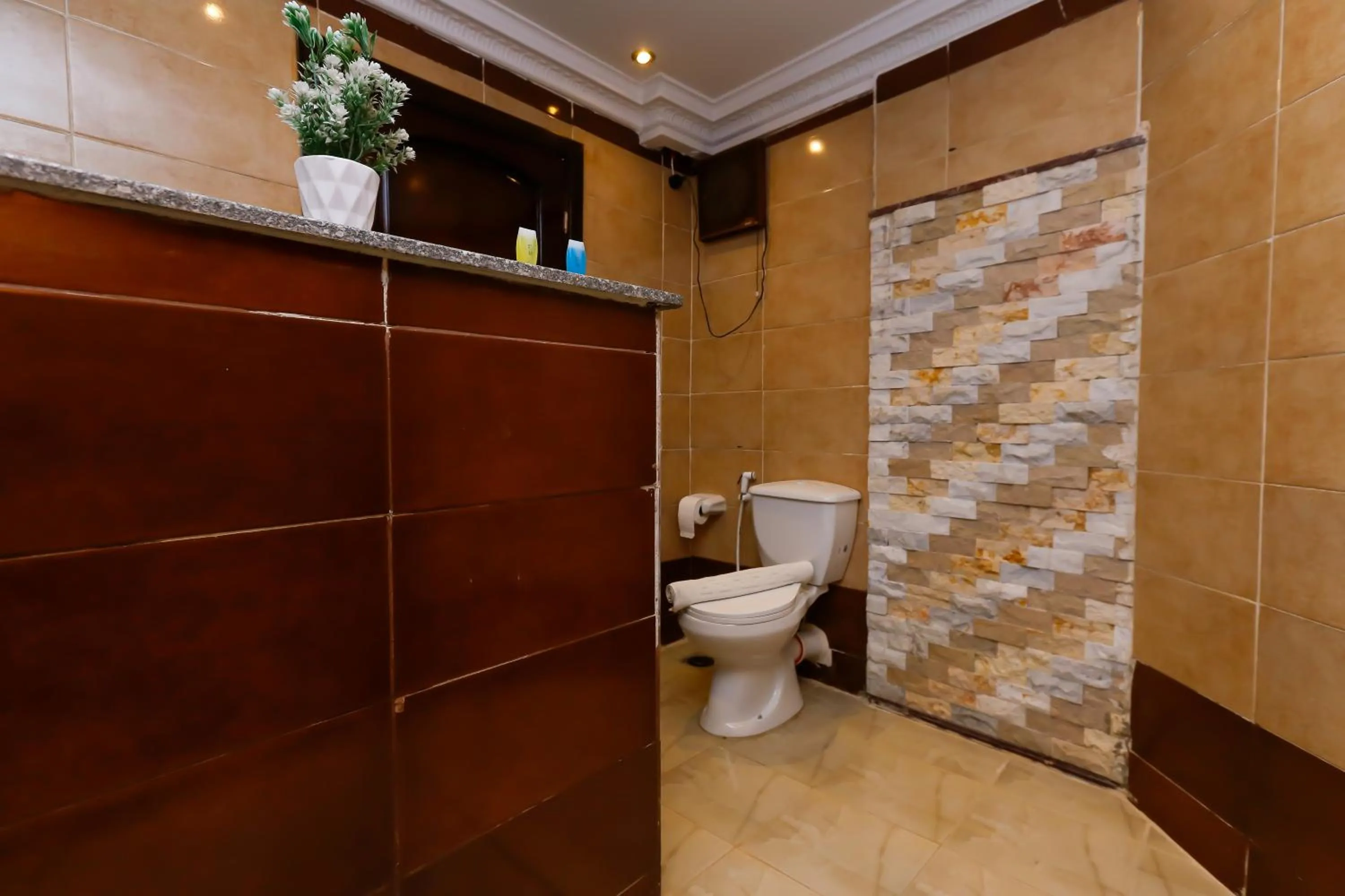 Turquoise Pyramids palace