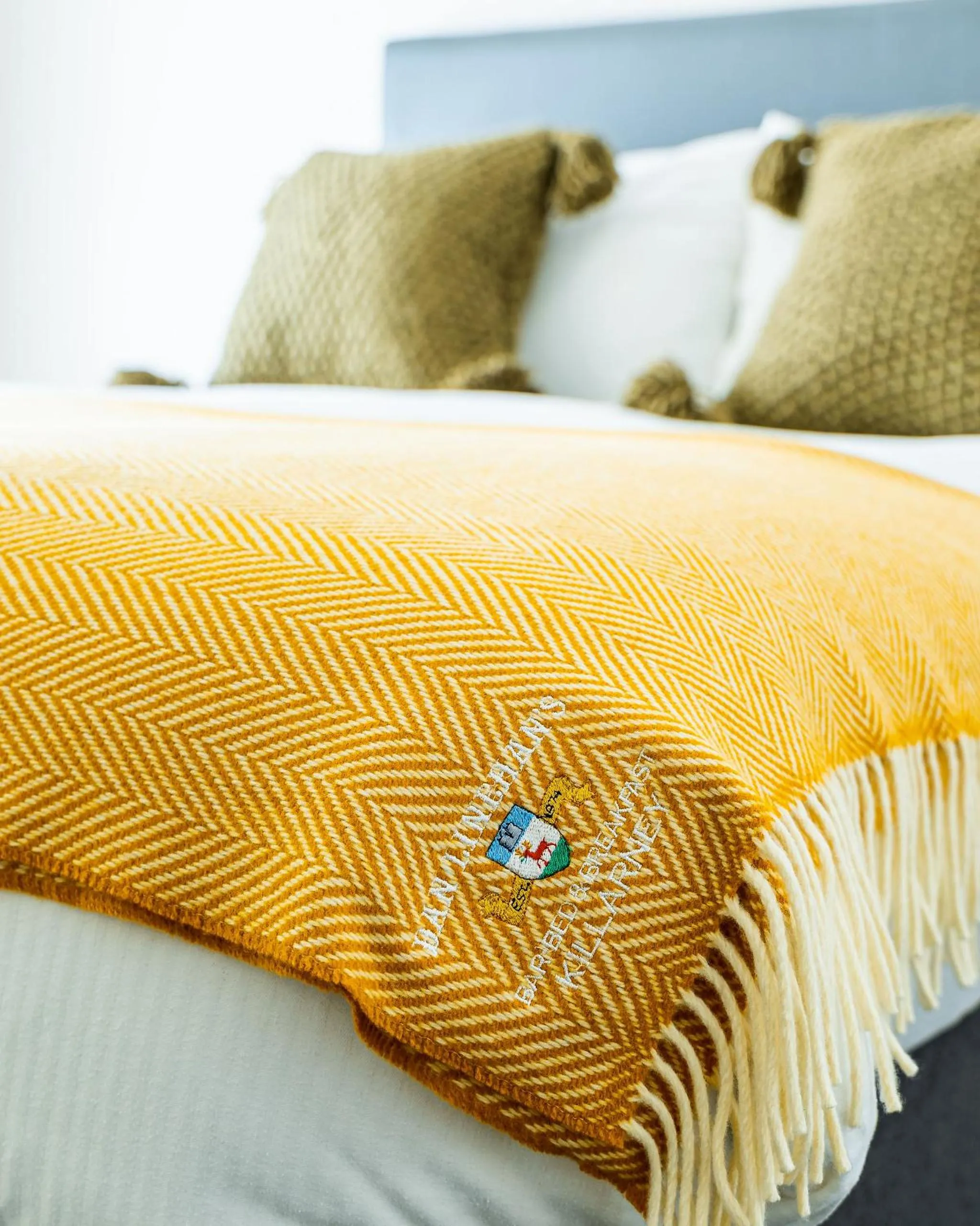 Decorative detail, Bed in Dan Linehan's B&B