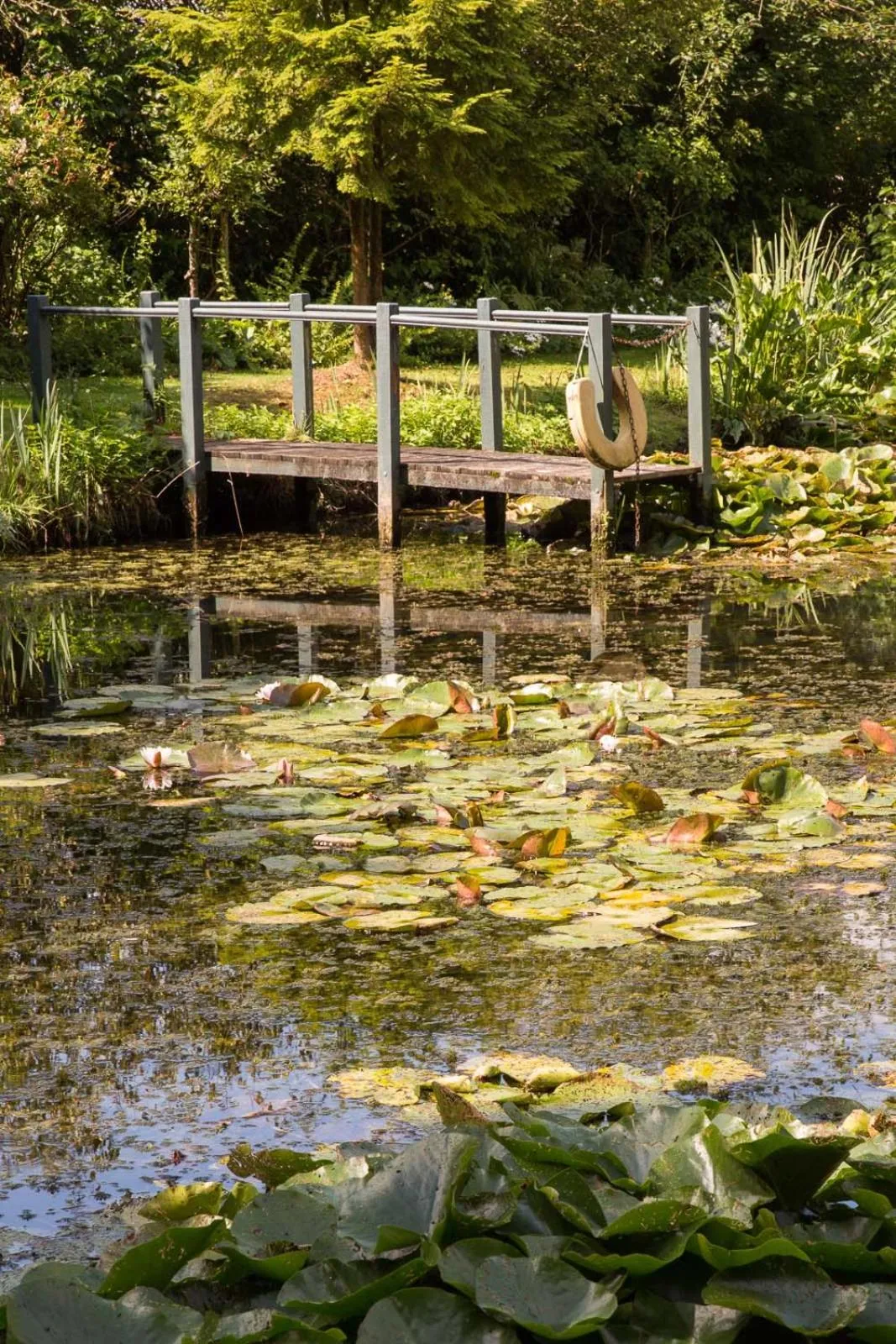 Property building in Priory Wareham