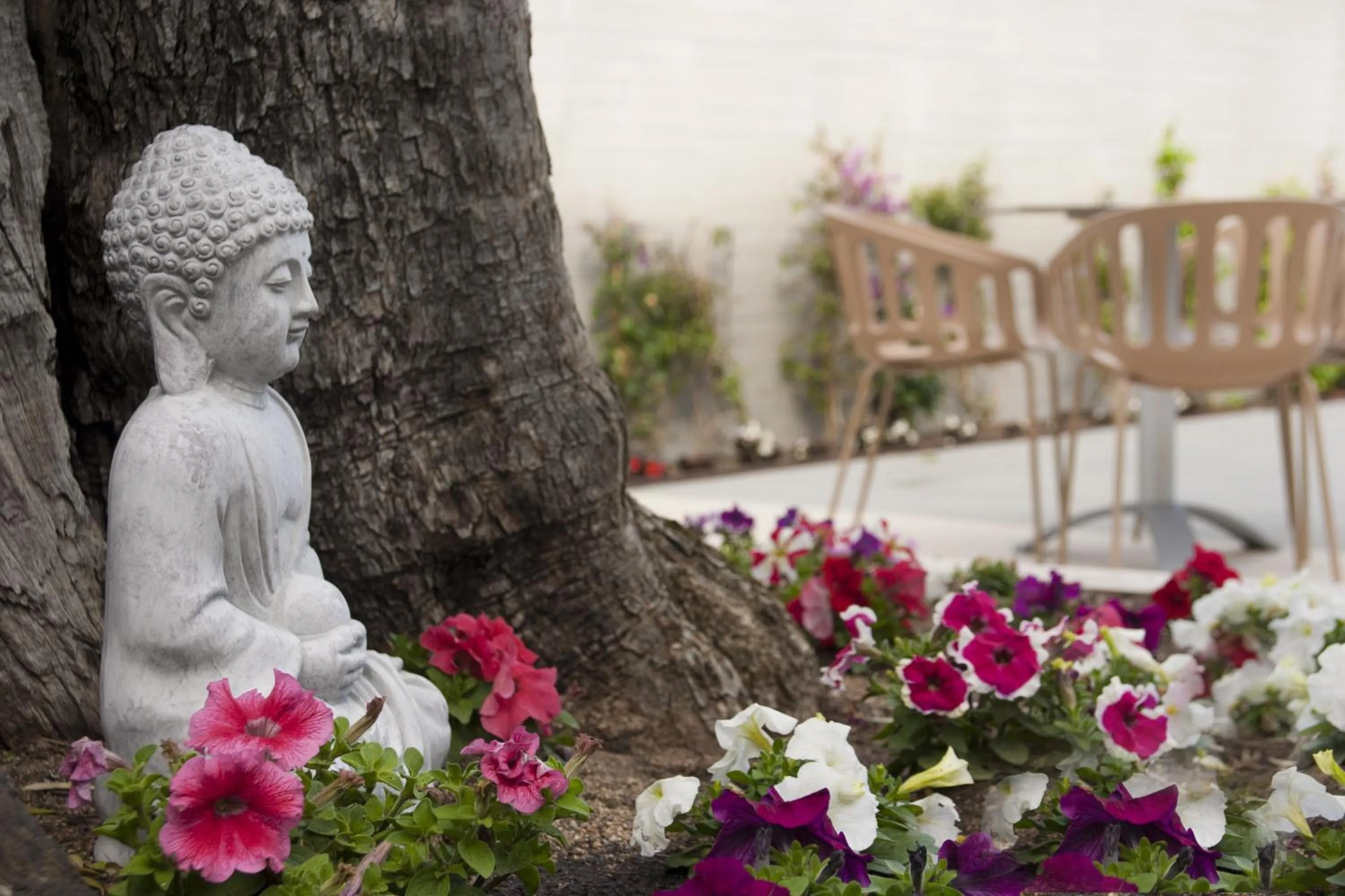 Decorative detail in Hotel Europa Splash & Spa