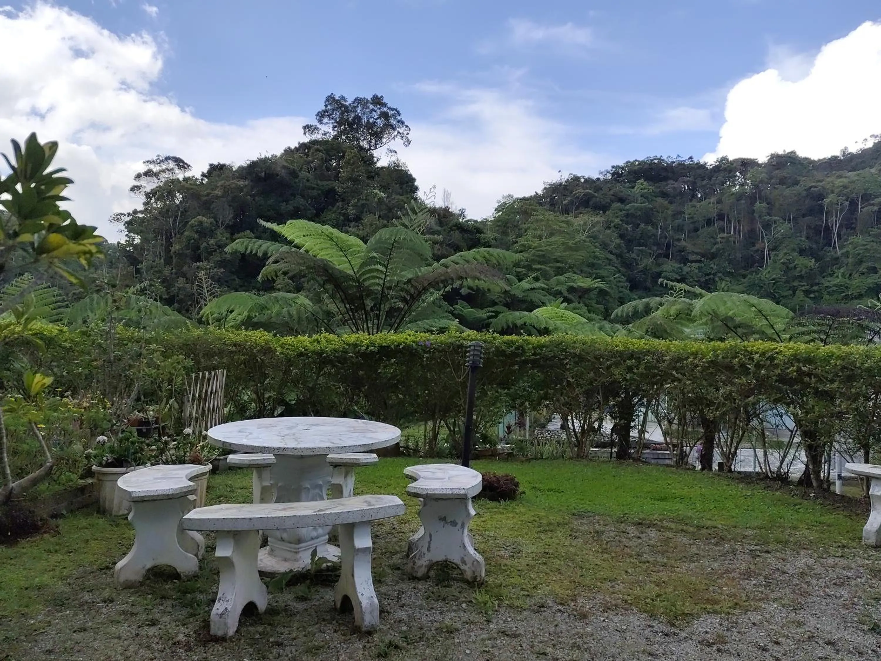 Garden in Rovers Inn Guesthouse - Age 11 And Above Only