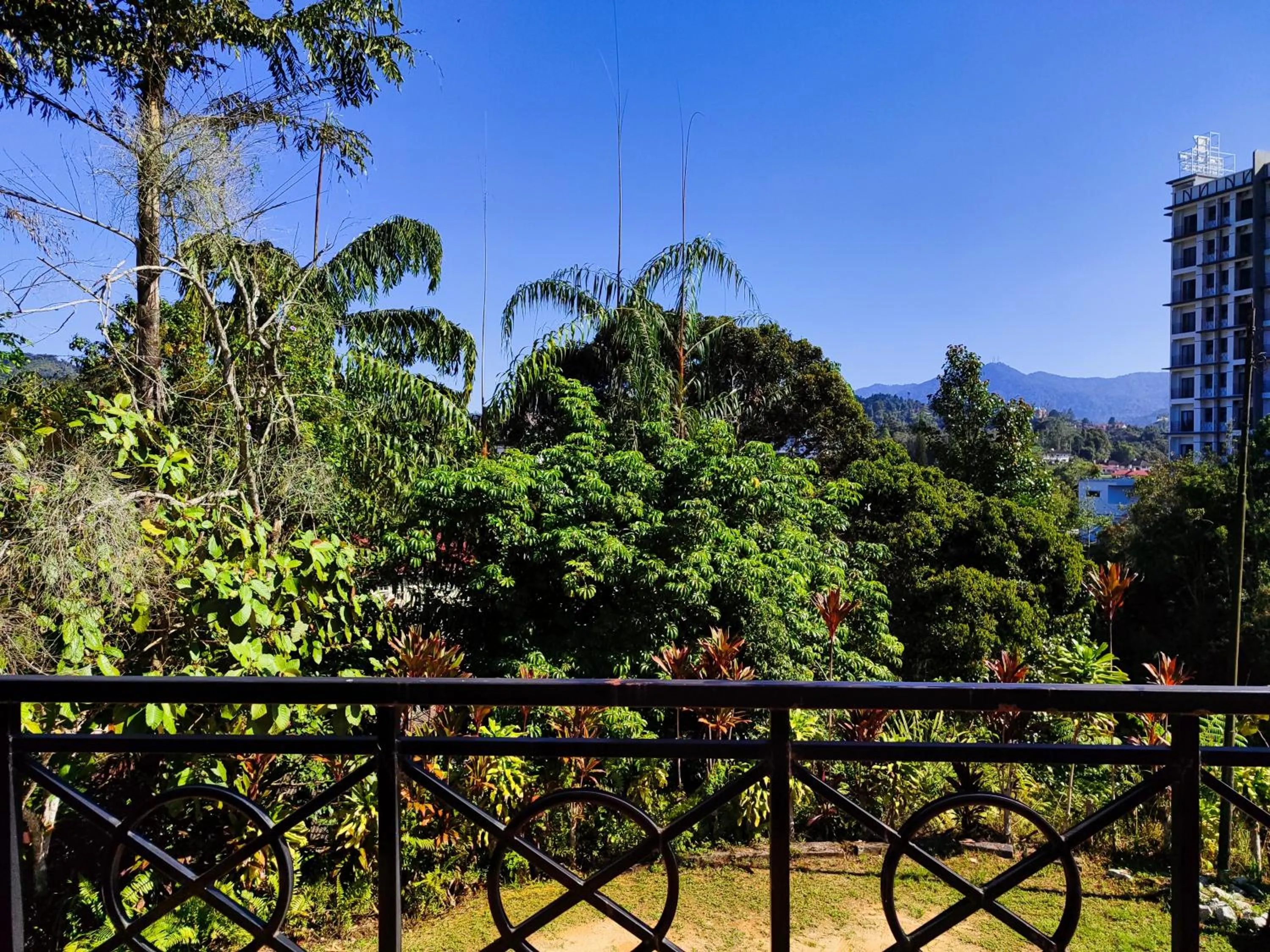 View (from property/room) in Rovers Inn Guesthouse - Age 11 And Above Only