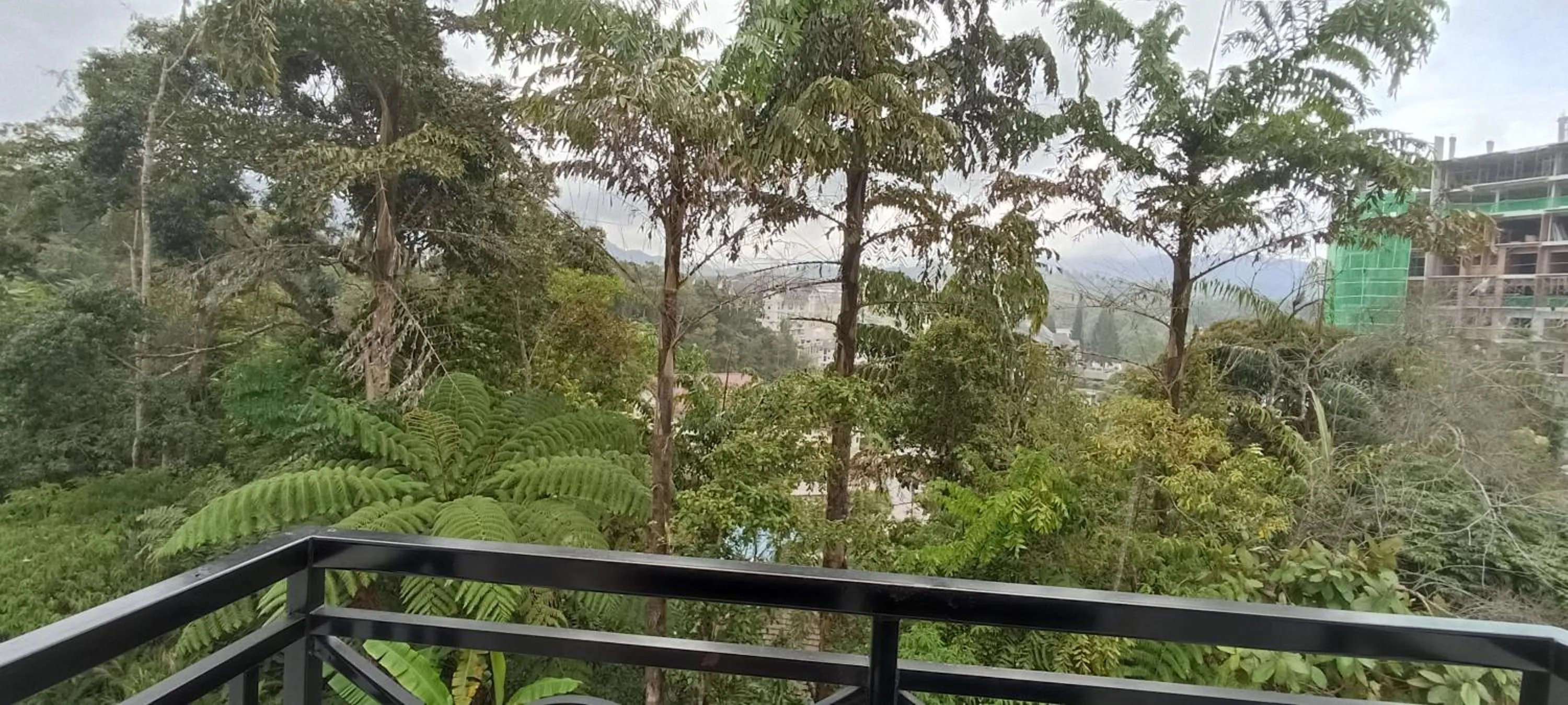 Natural landscape in Rovers Inn Guesthouse - Age 11 And Above Only