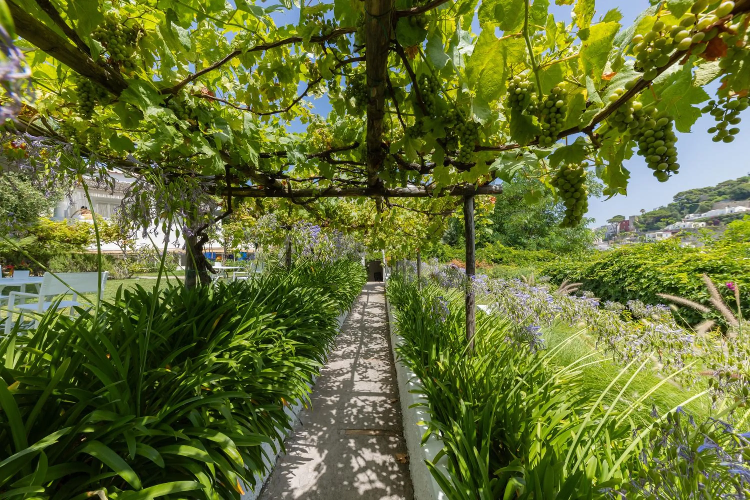 Garden in Villa La Pergola Capri