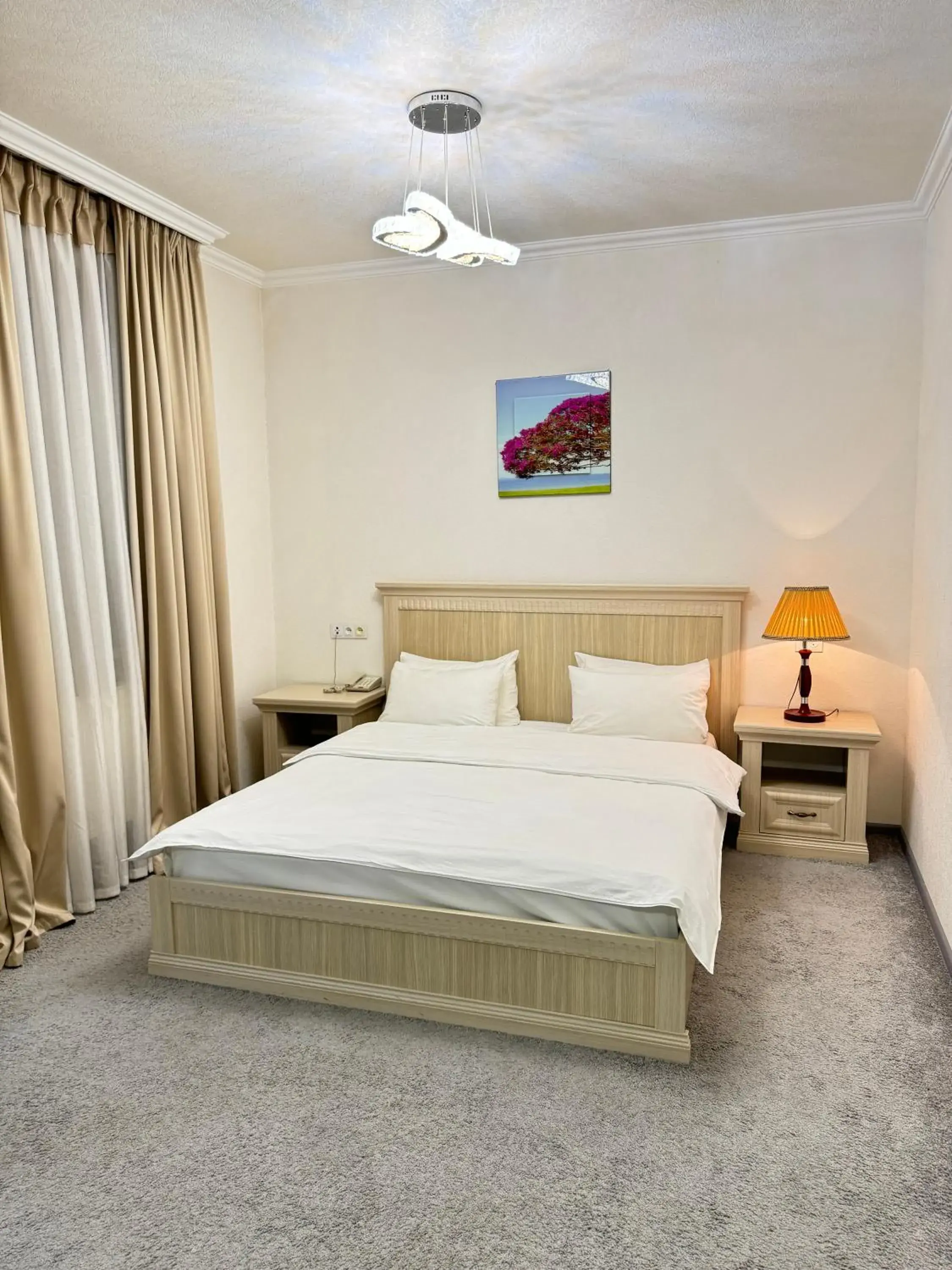 Deluxe Room in Alexander Hotel Deluxe Room in Alexander Hotel