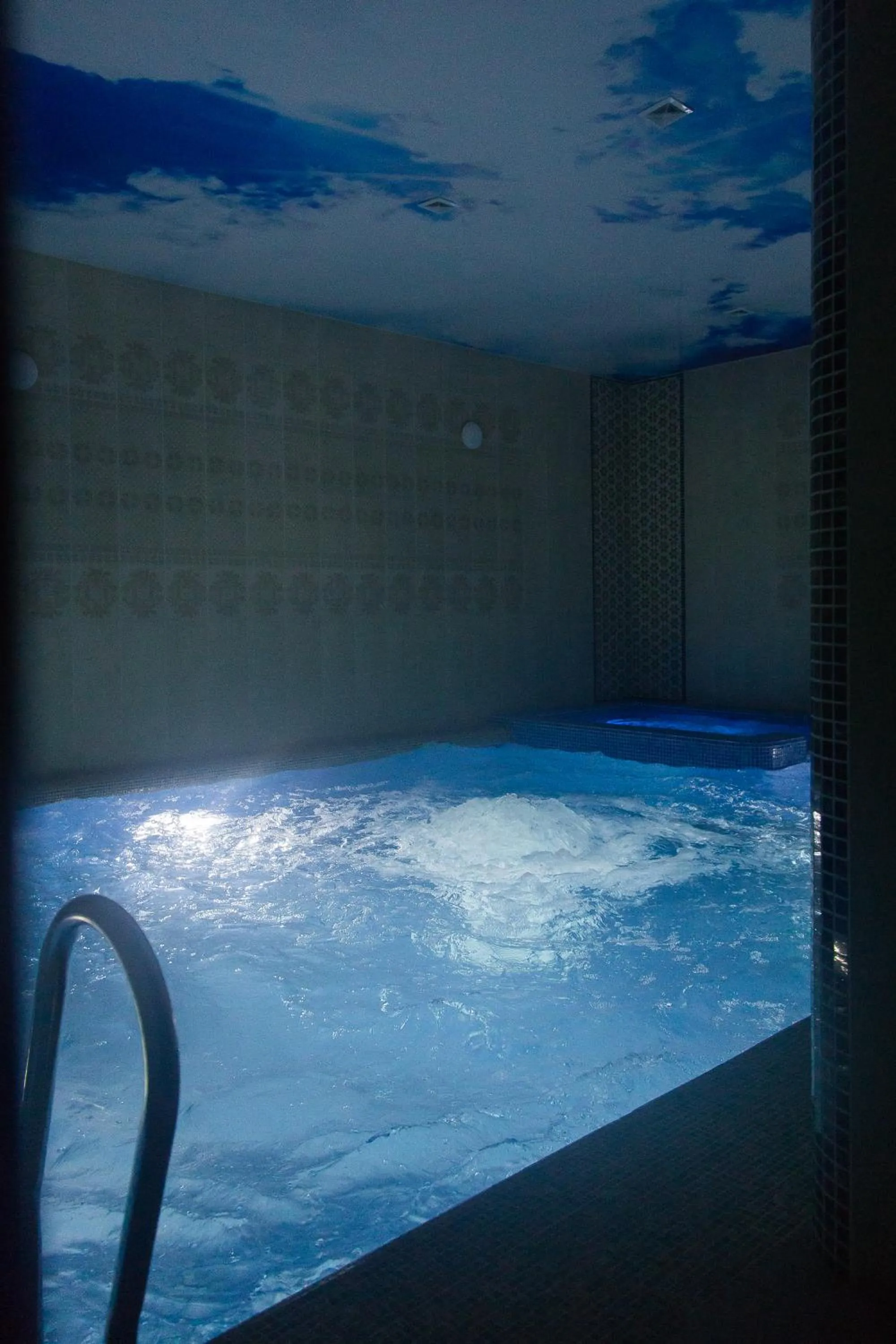 Sauna in Alexander Hotel