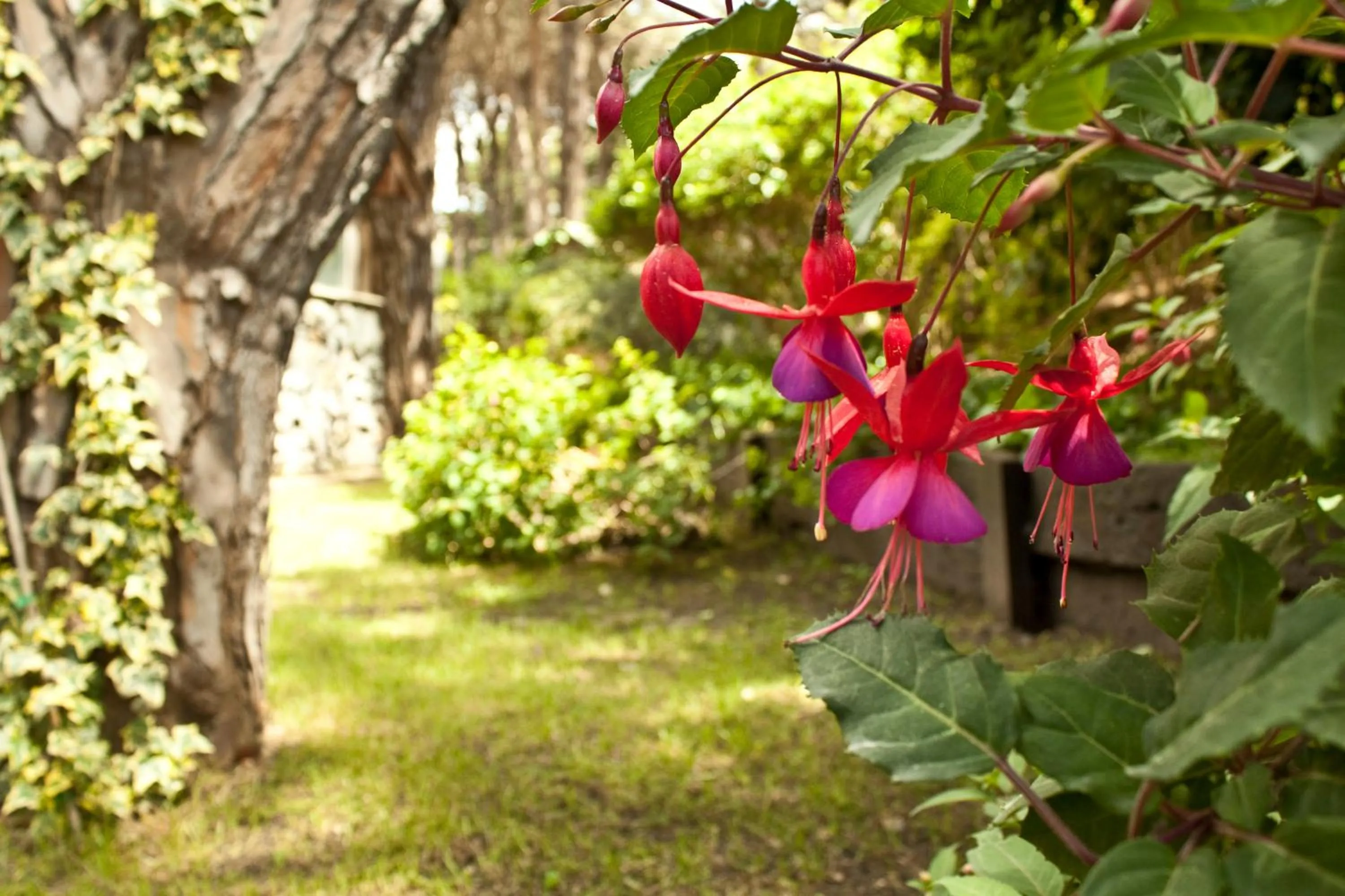 Day in Carilo Village Apart Hotel & Spa