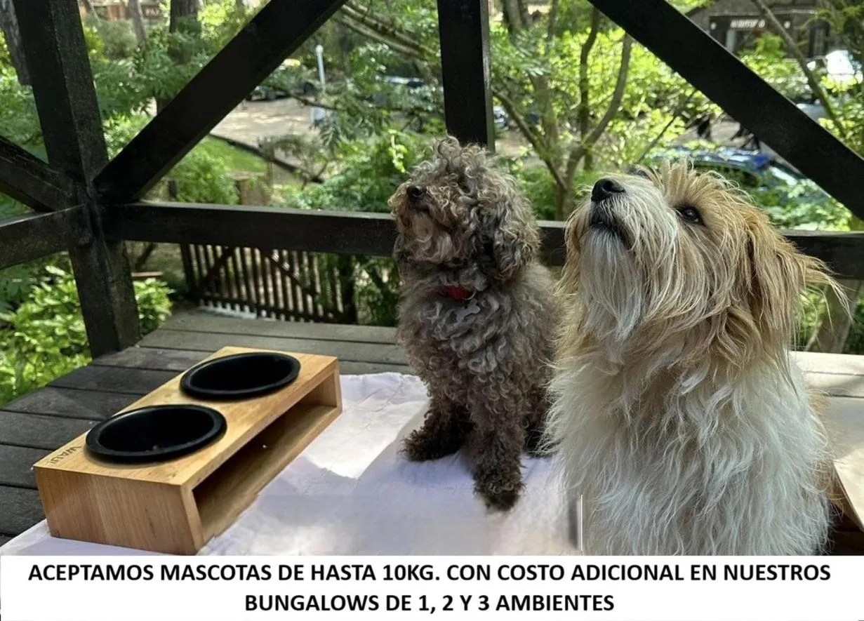 Pets in Carilo Village Apart Hotel & Spa