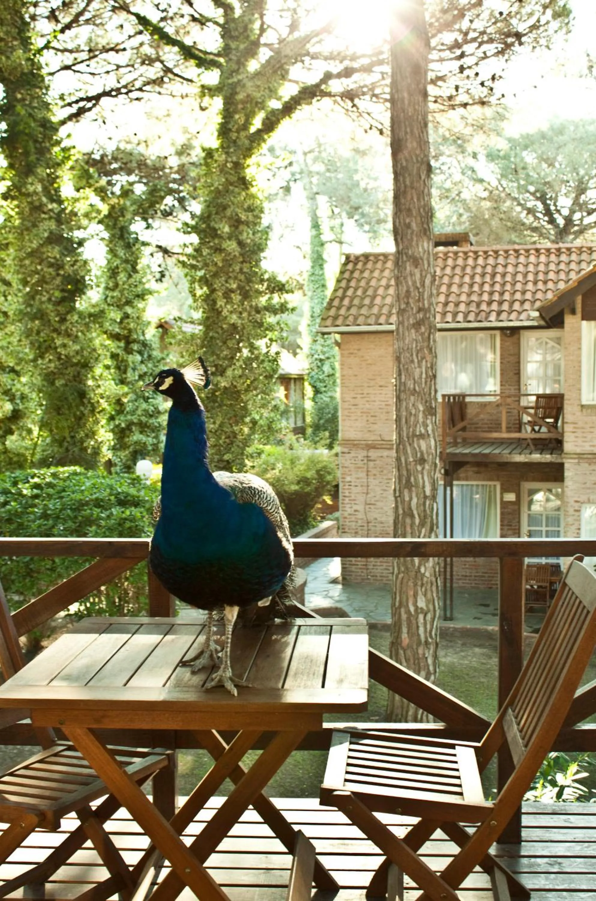 Day in Carilo Village Apart Hotel & Spa