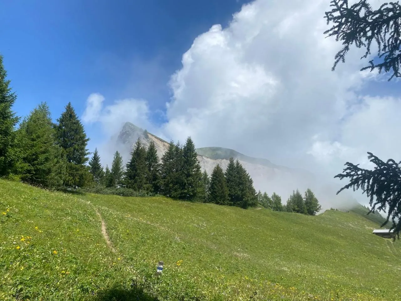 Natural landscape in Hotel Malixerhof